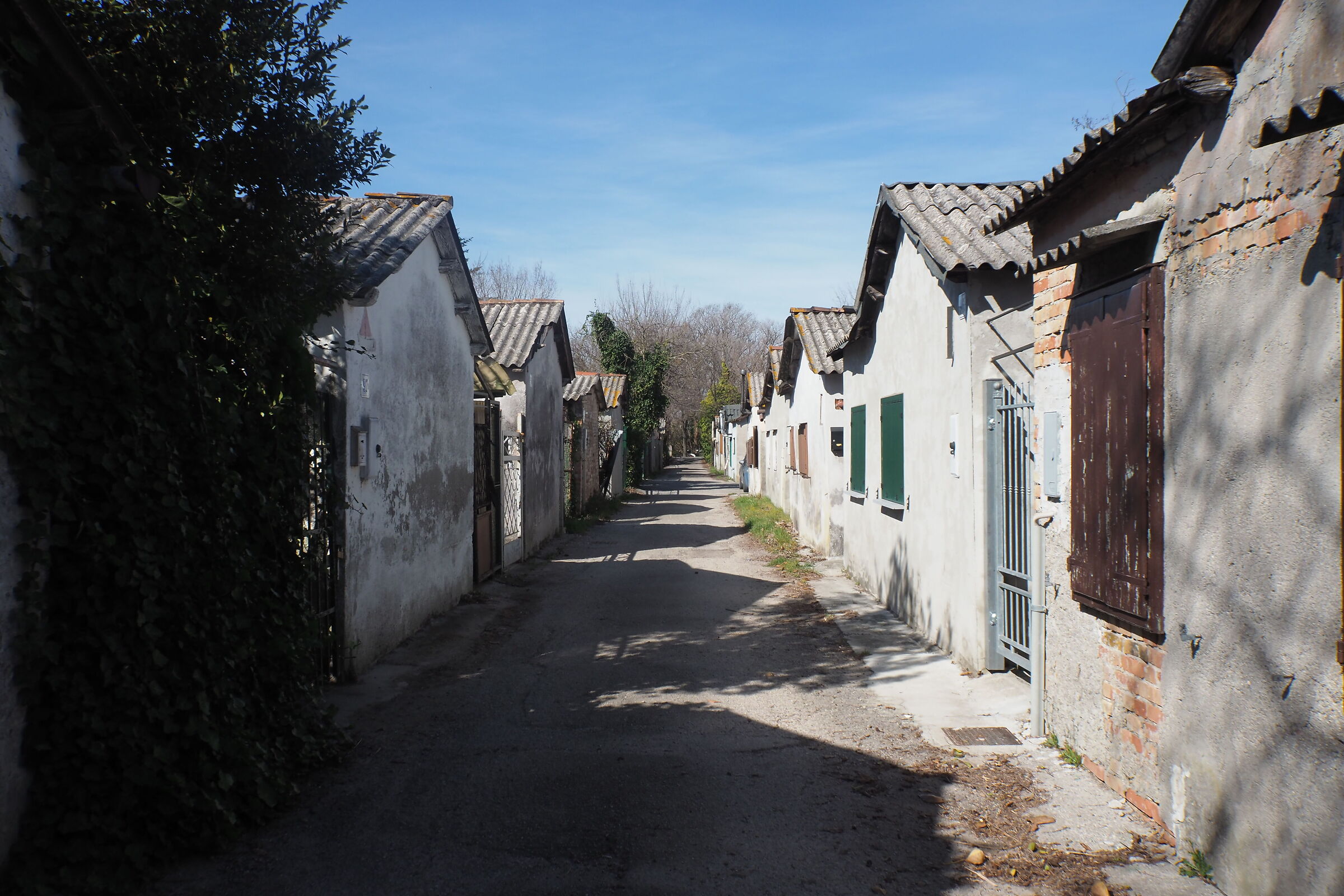 Untitled Photo