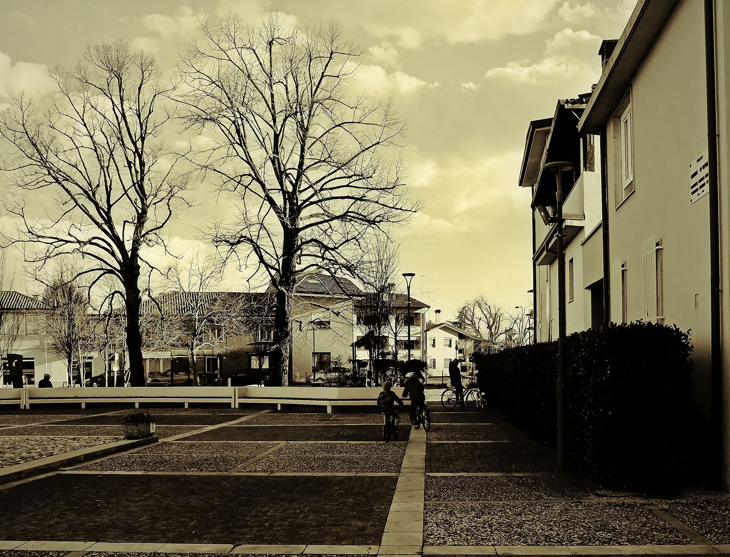 Untitled Photo