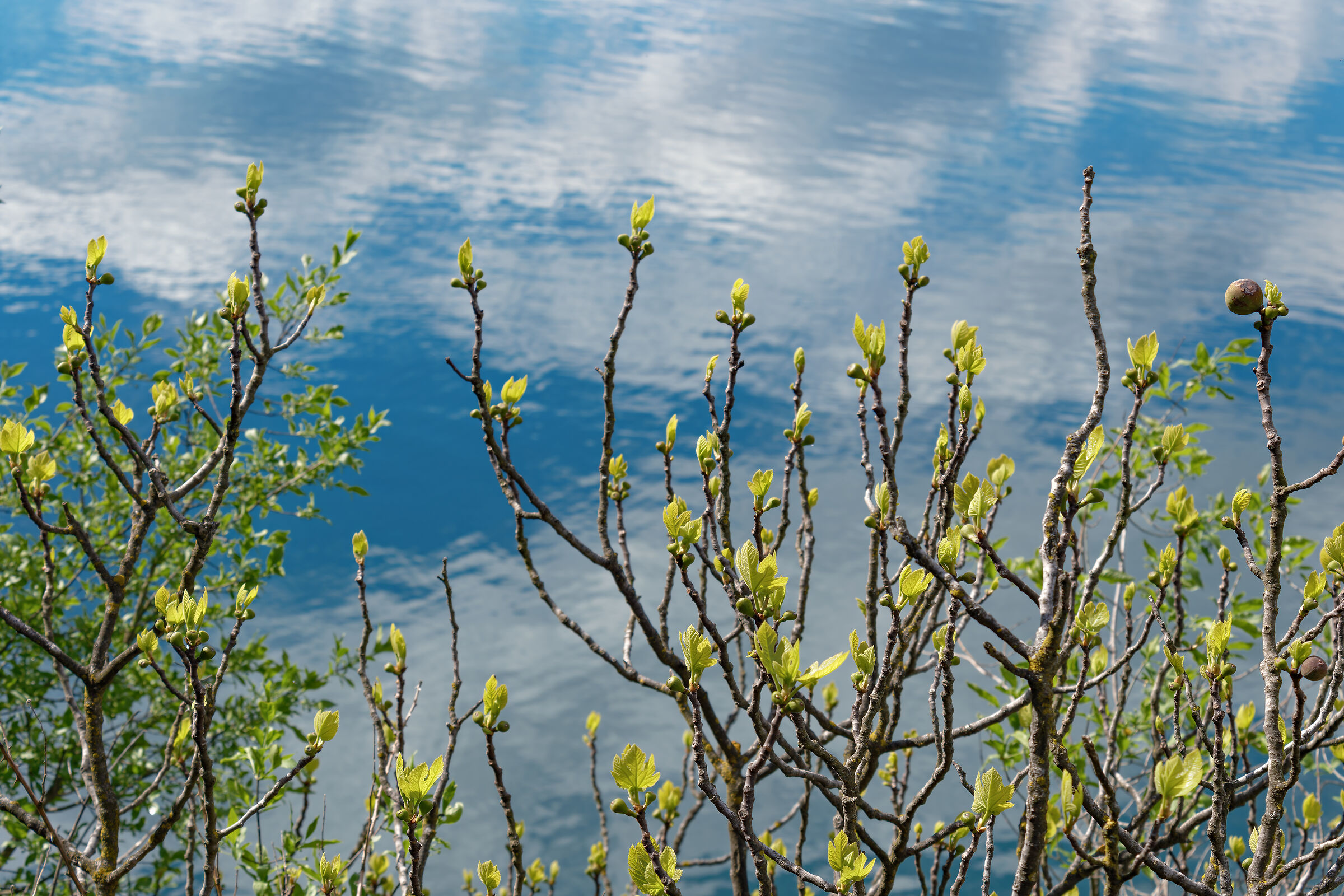 Lago di Annone