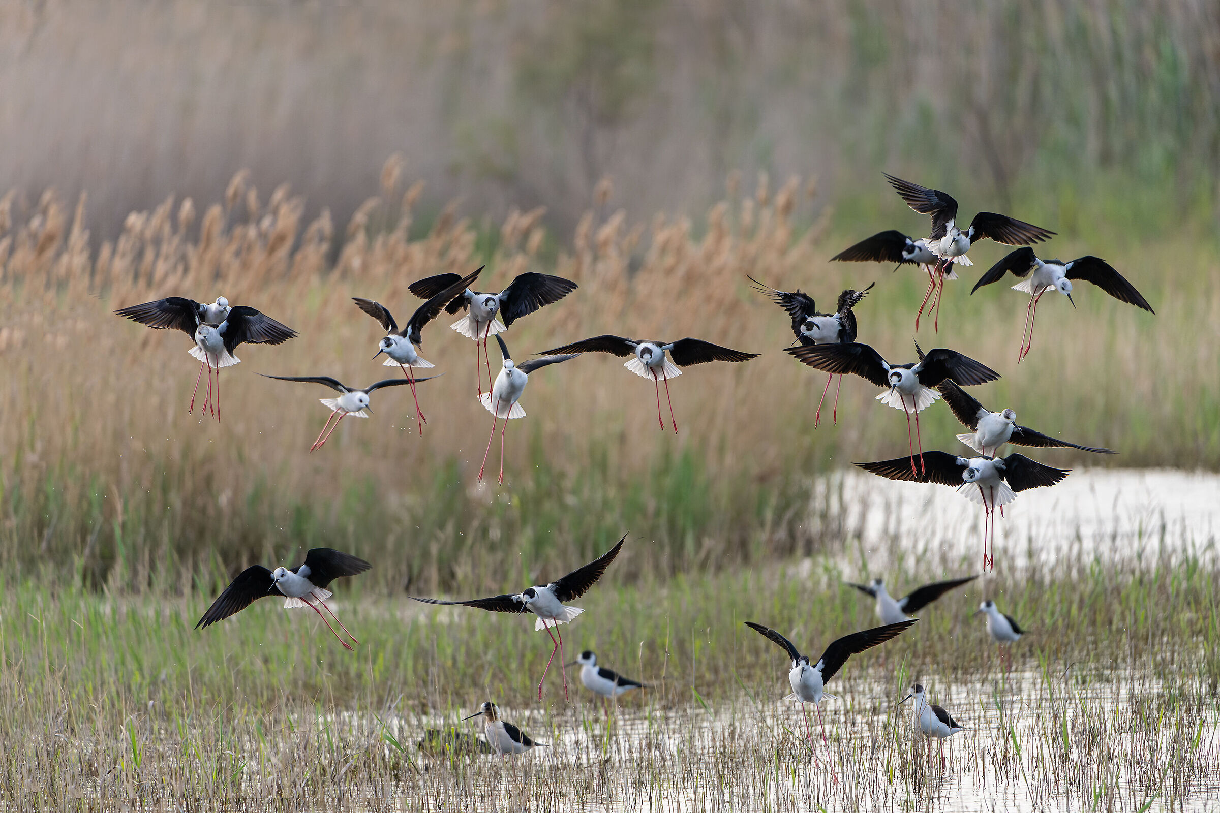 Finalmente un pò di riposo