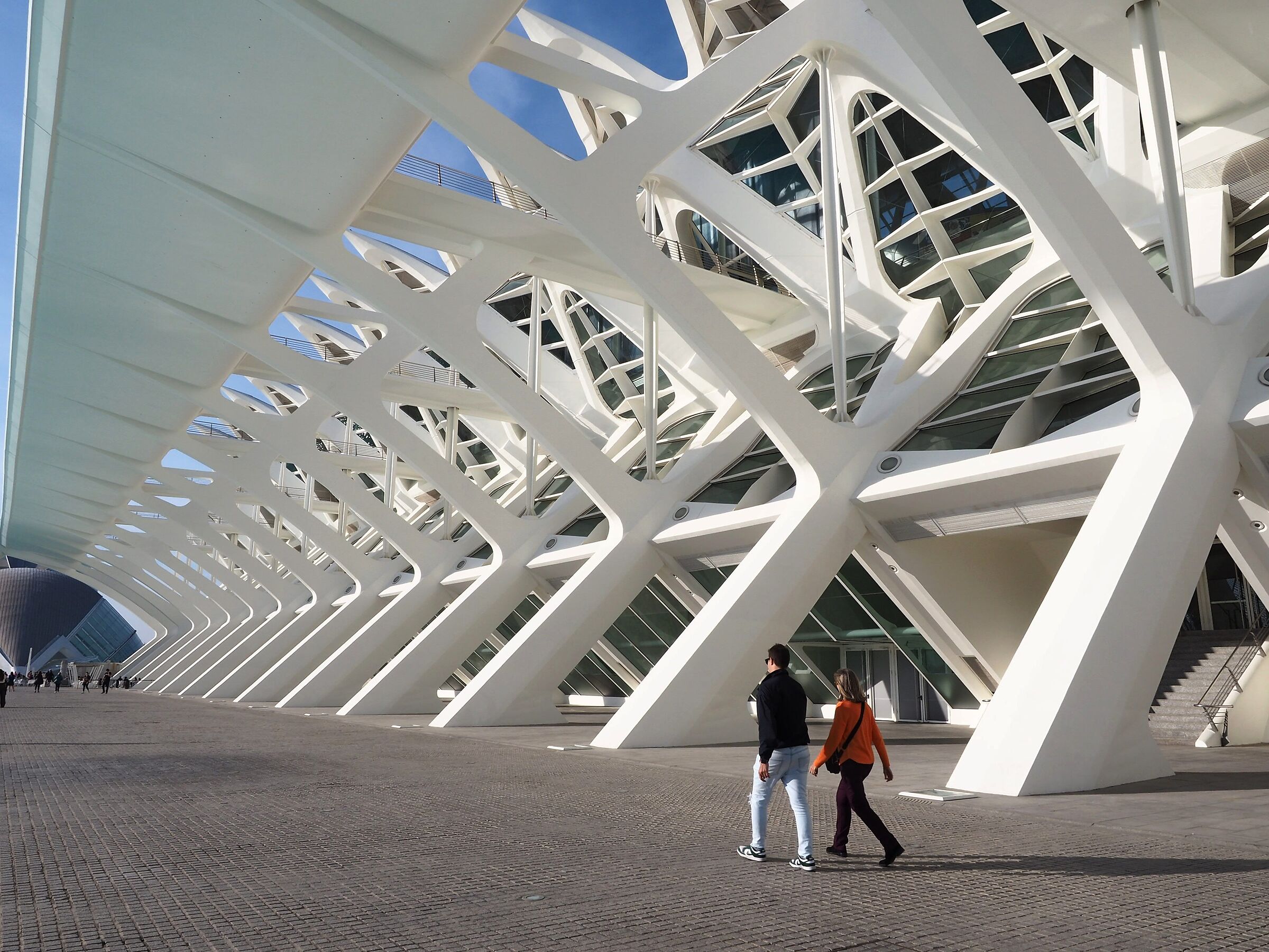 Valencia science city of Calatrava 1