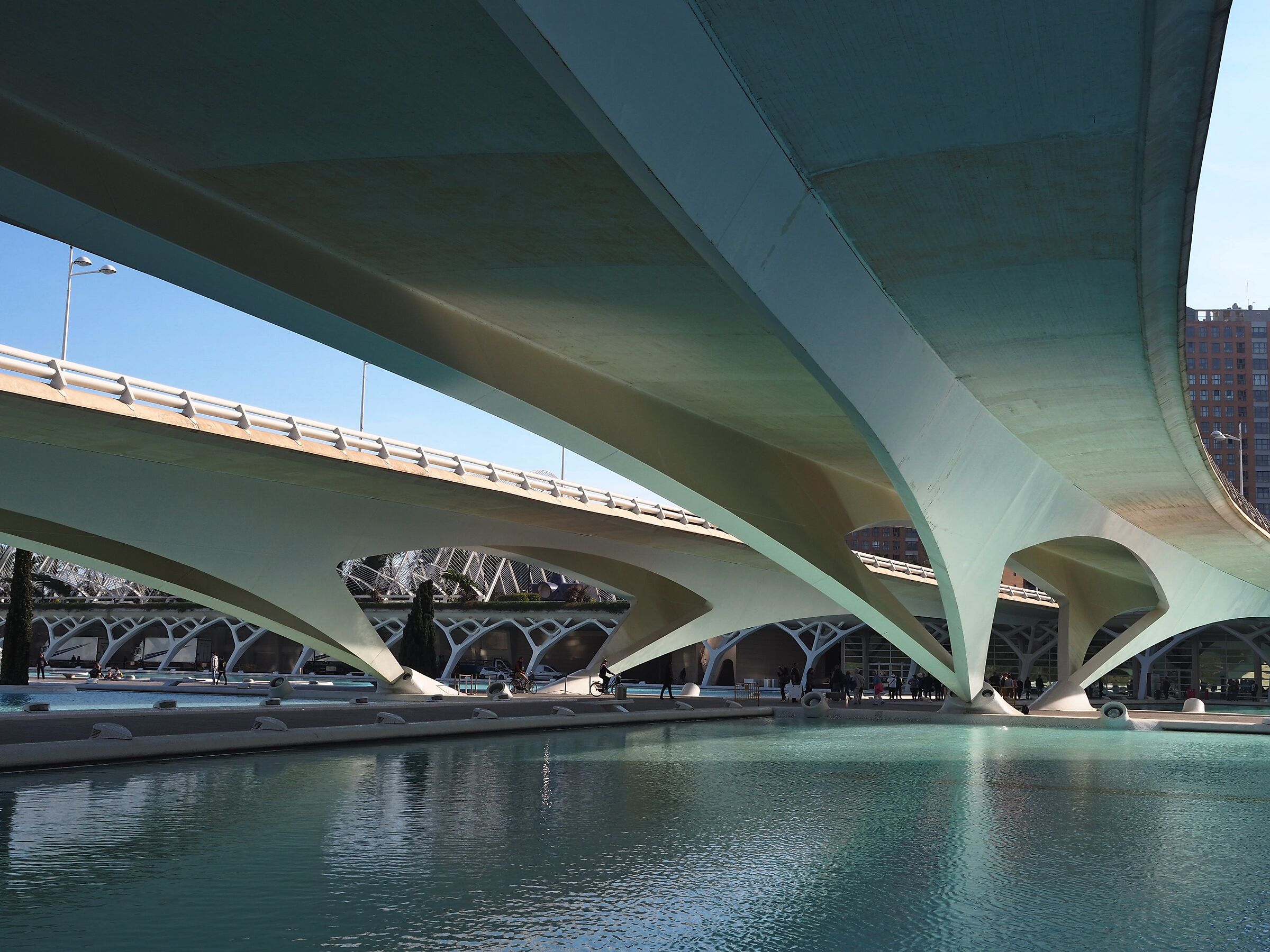 Valencia science city of Calatrava 2