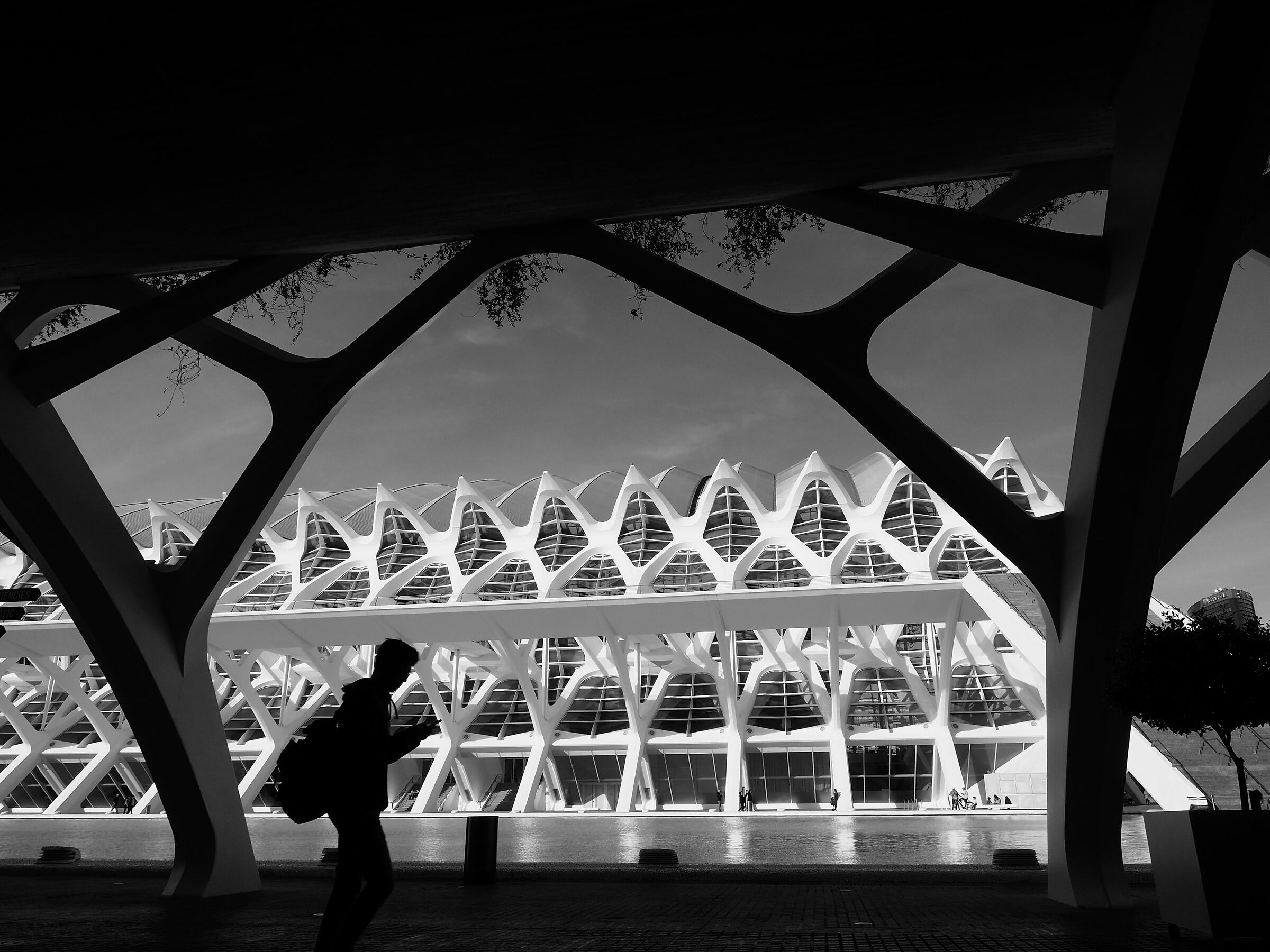 Valencia science town of Calatrava 3