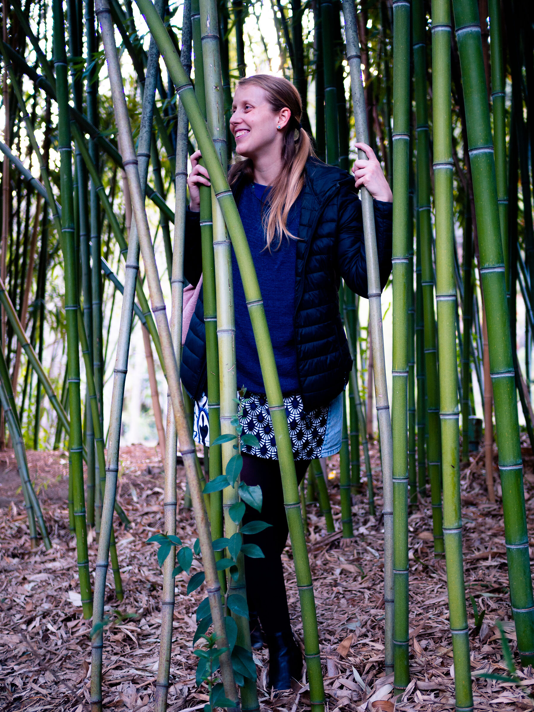 bamboo