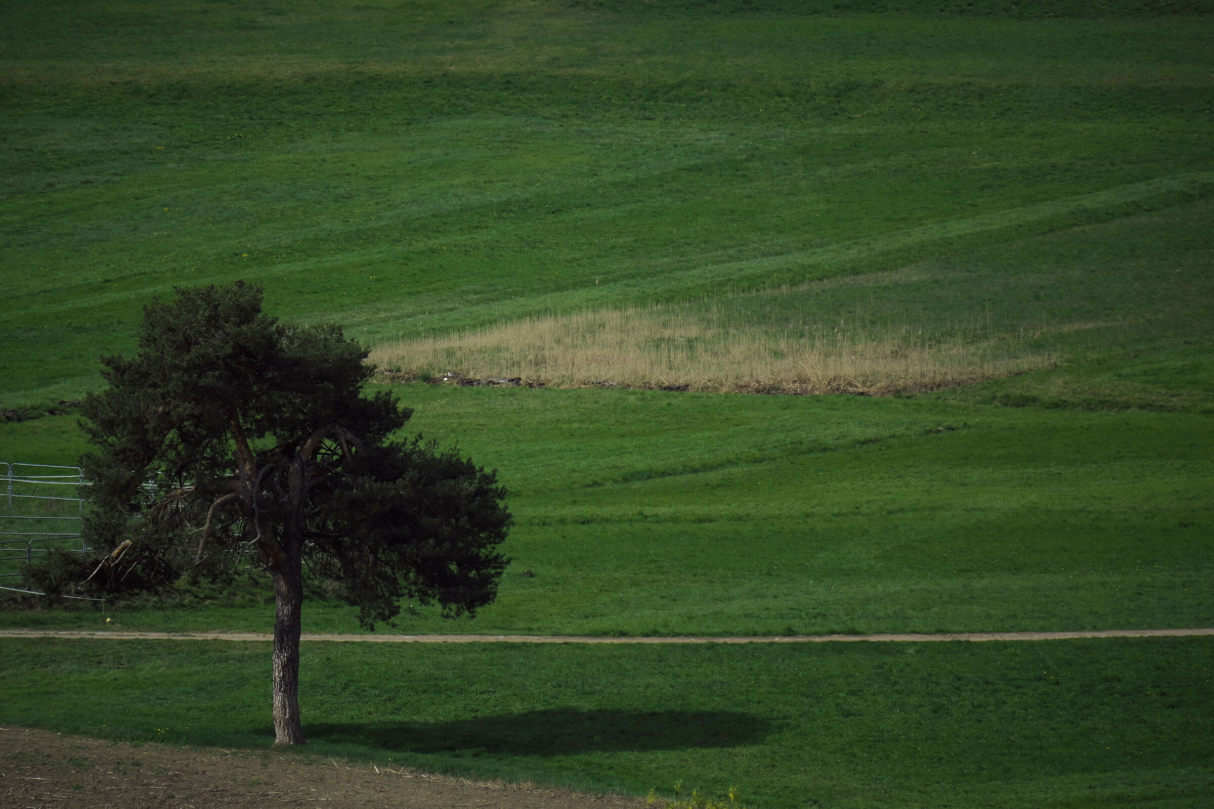 Parco Sorgenti del Lura