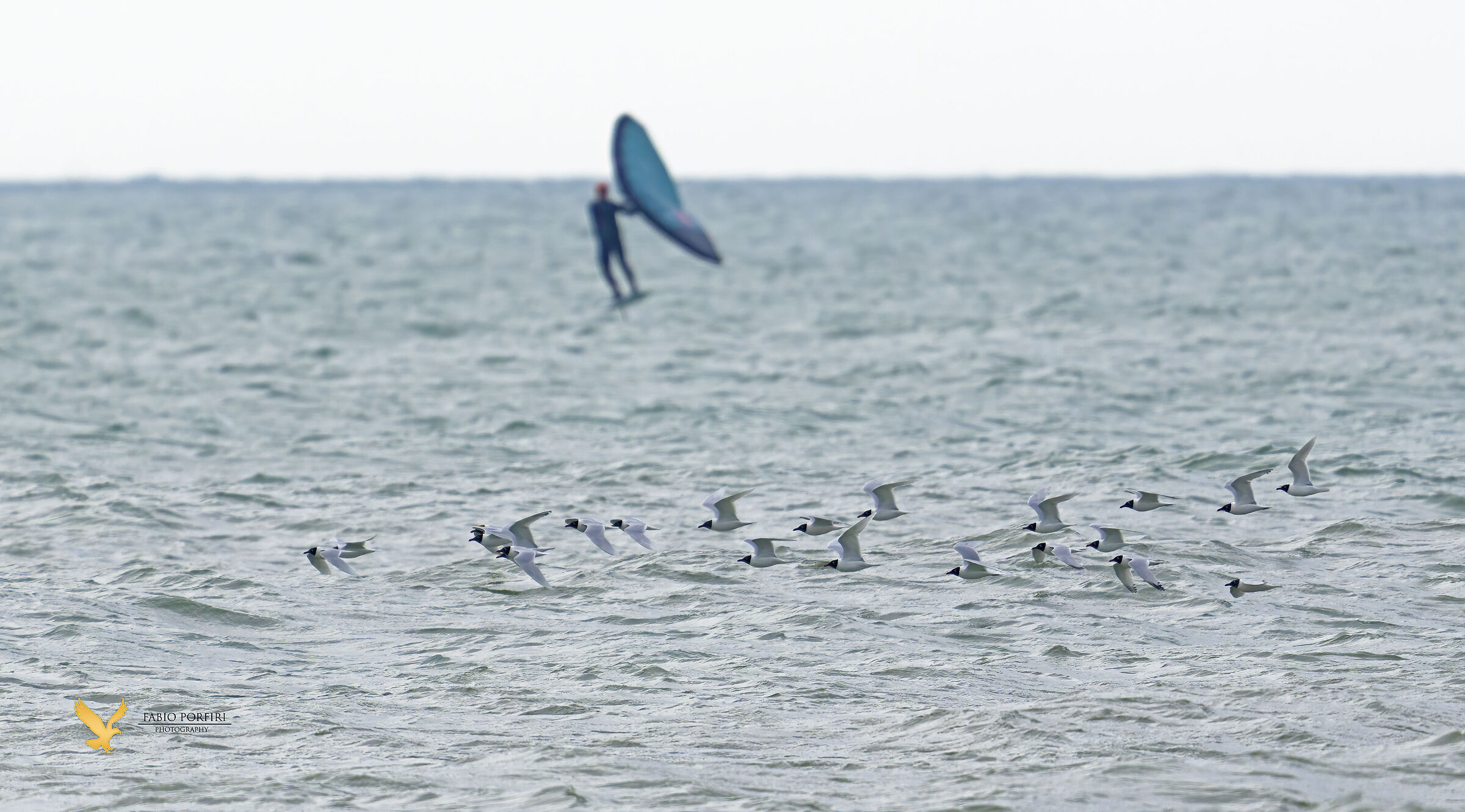un viaggio di ritorno tra mille ostacoli