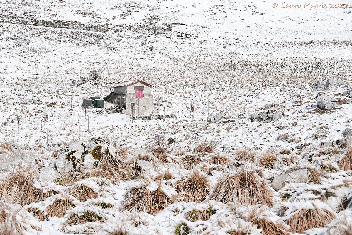Bianco Rosso e Verde