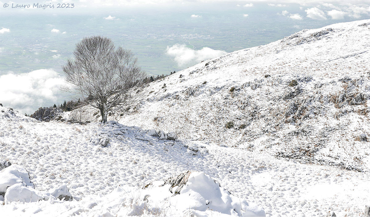 Fiocchi in cielo e in terra