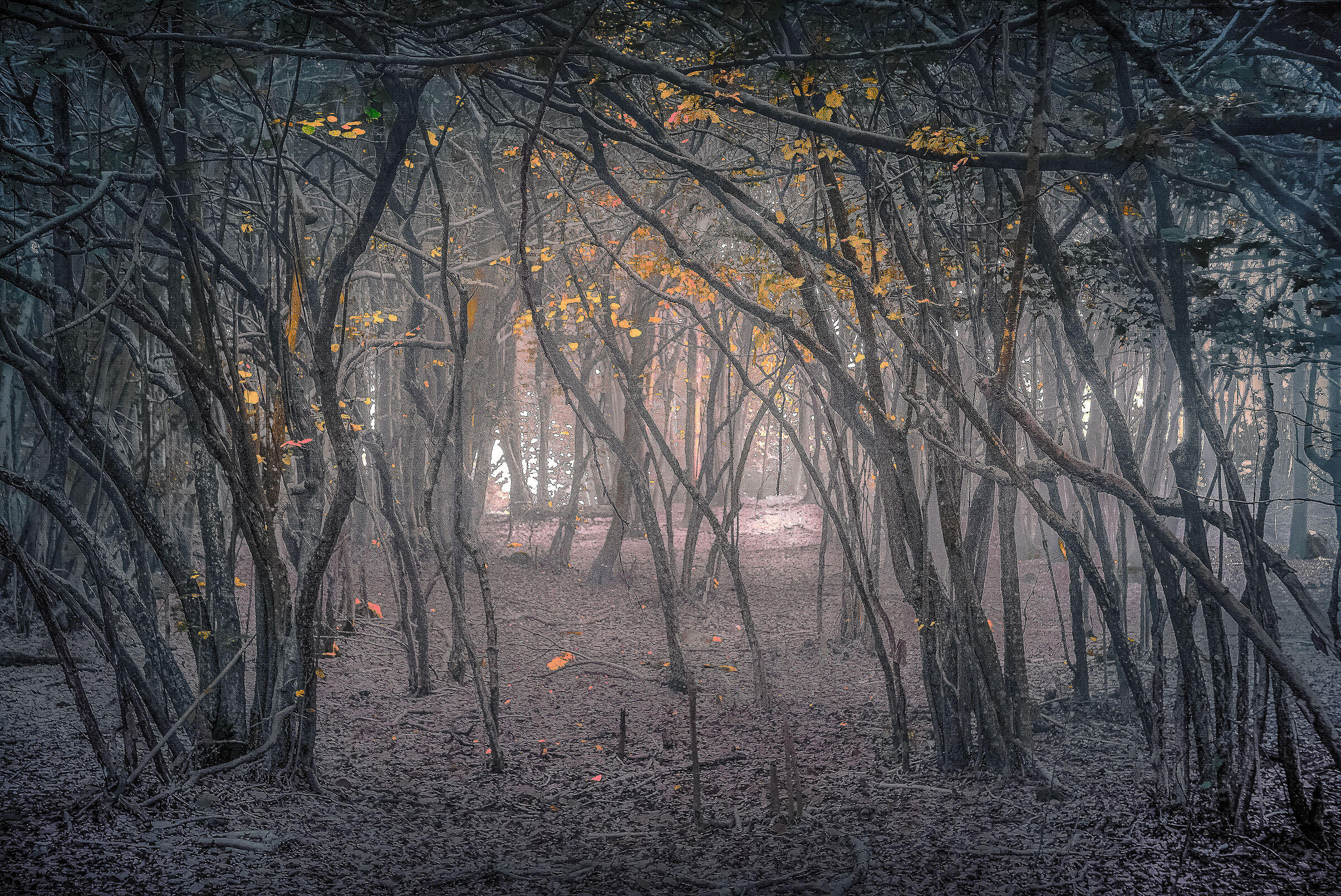 Nel mezzo del cammin di nostra vita ...