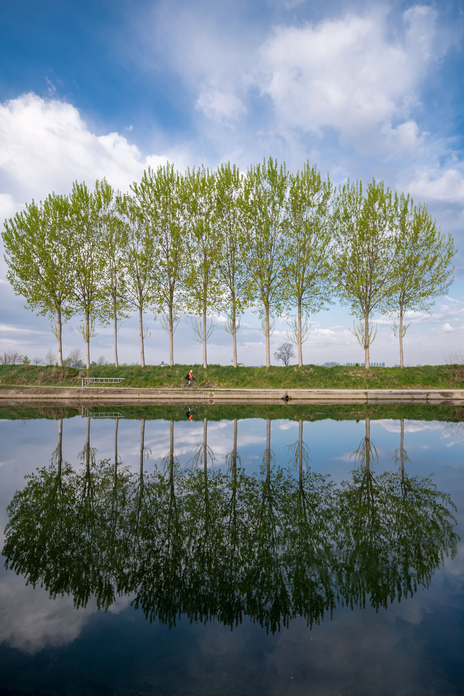 Riflessi di Primavera