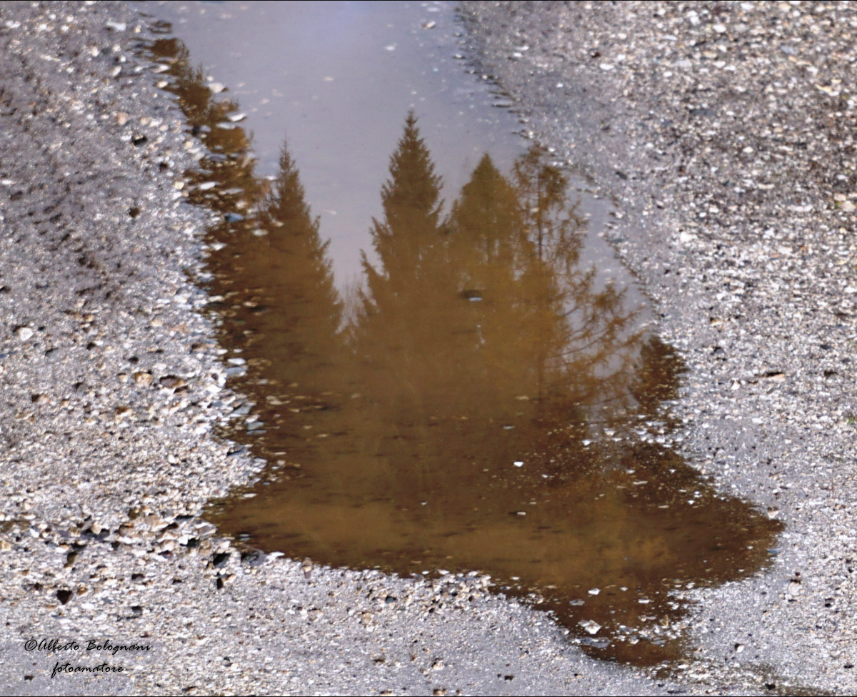 pozzanghera...... allo specchio