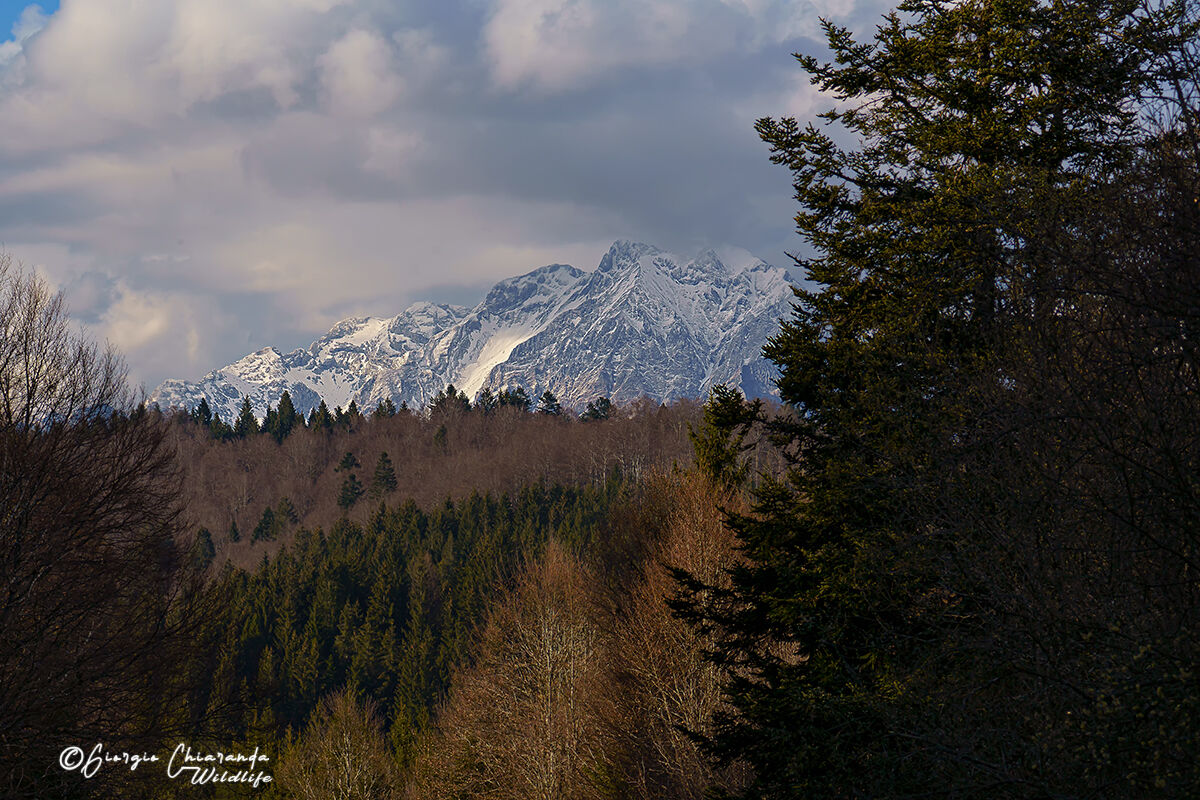 Una finestra sulla natura