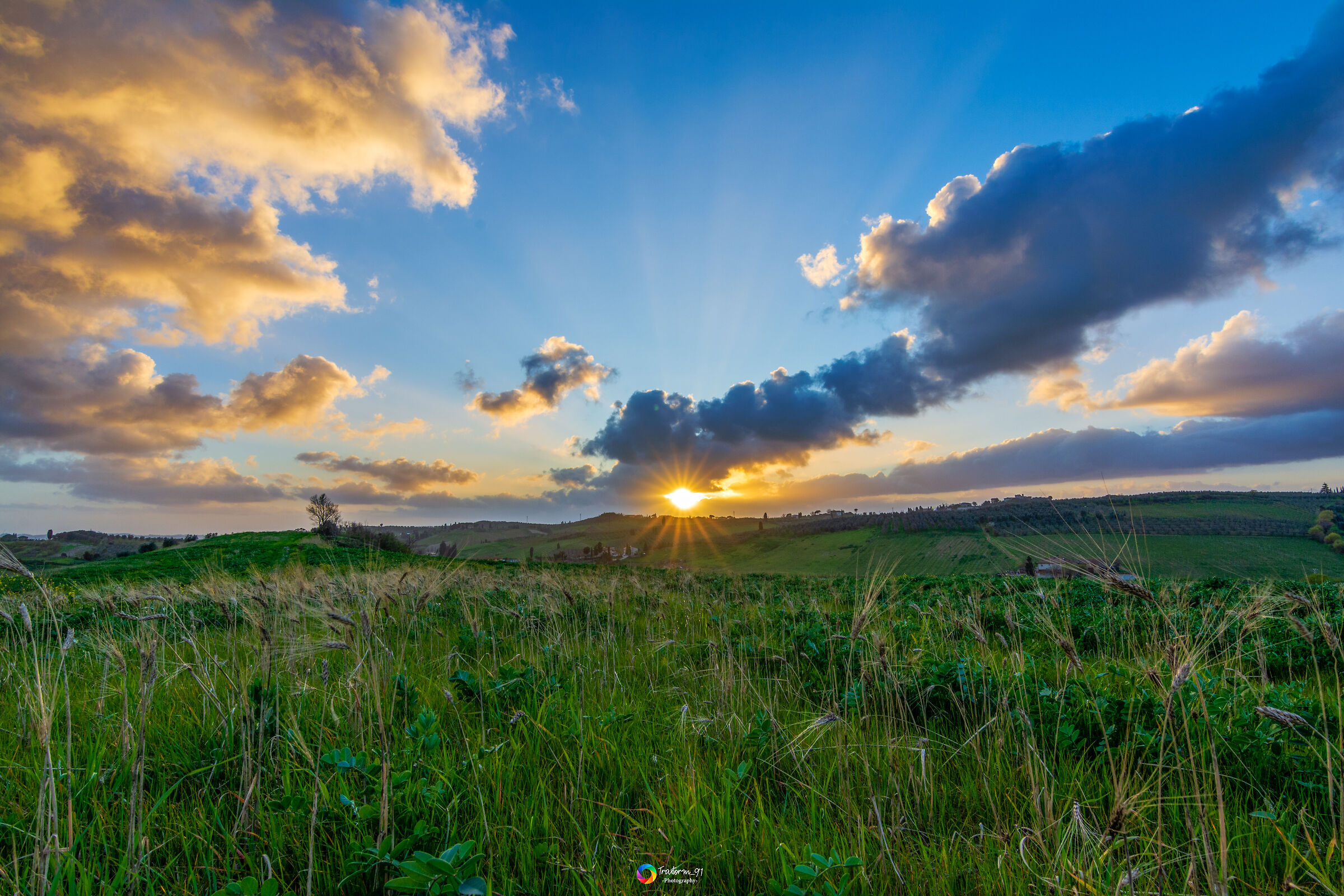 Nelle colline di Vinci