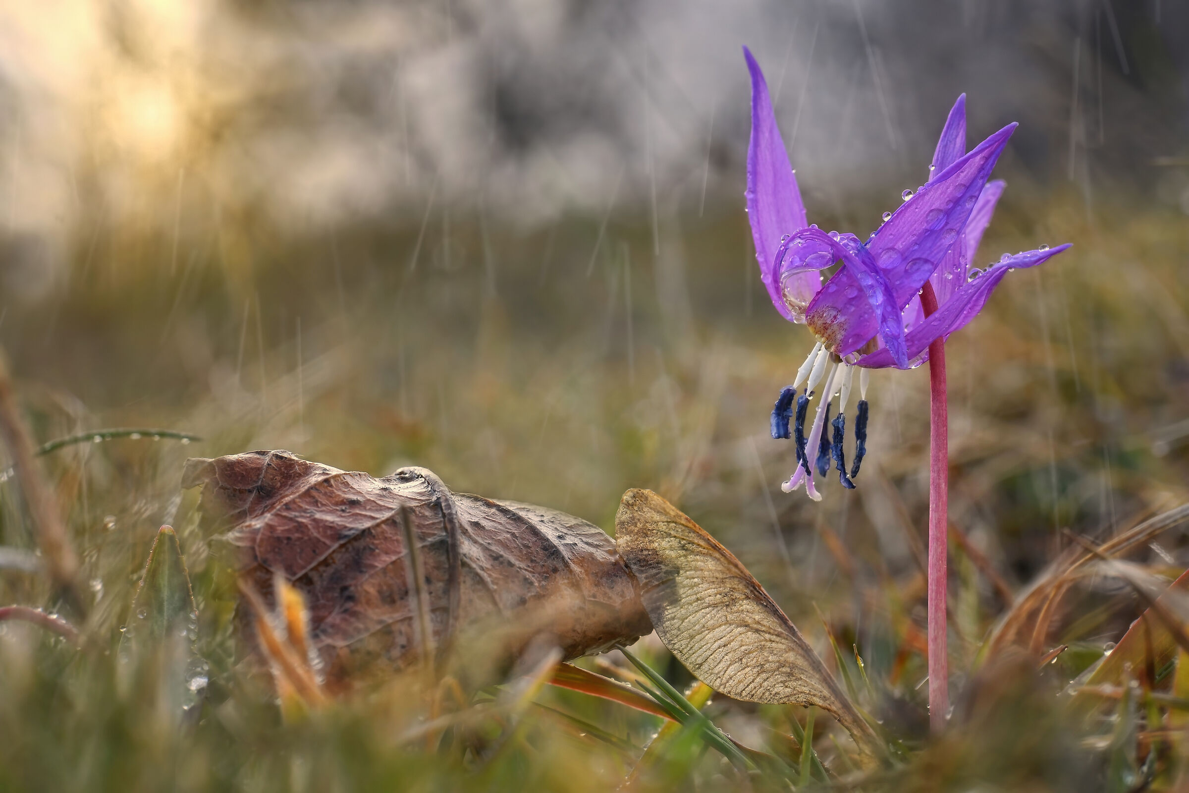 Uno sguardo al tramonto