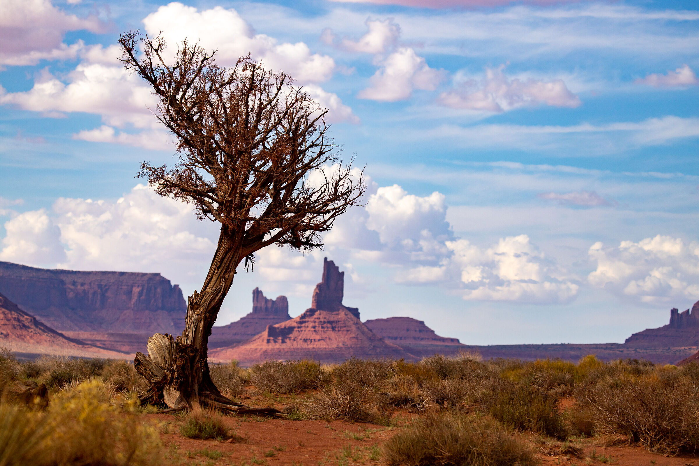 Monument Valley #2
