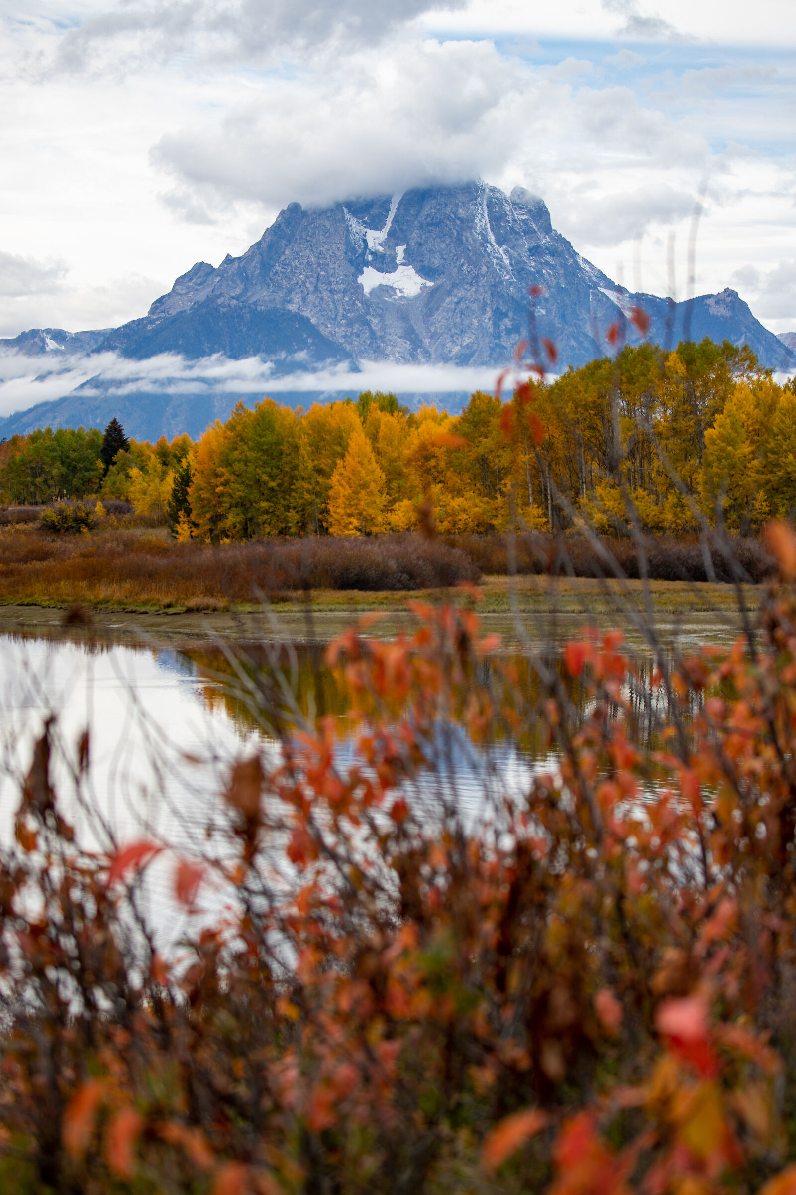 Grand Teton Park #2