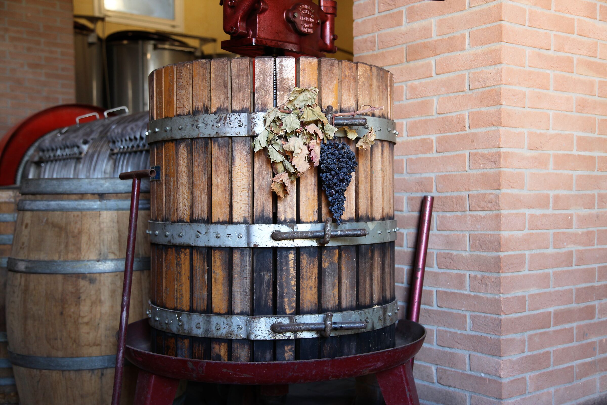 Logo del Geriatric Day