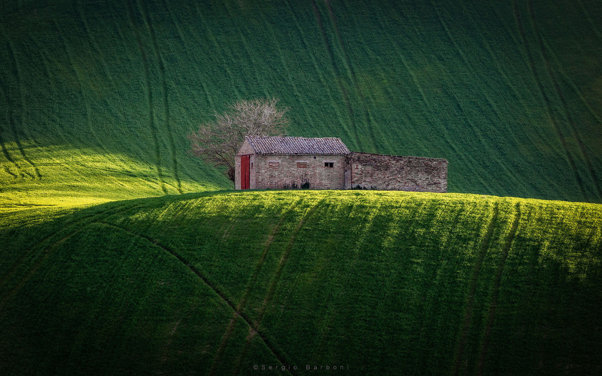 The house in the lawn