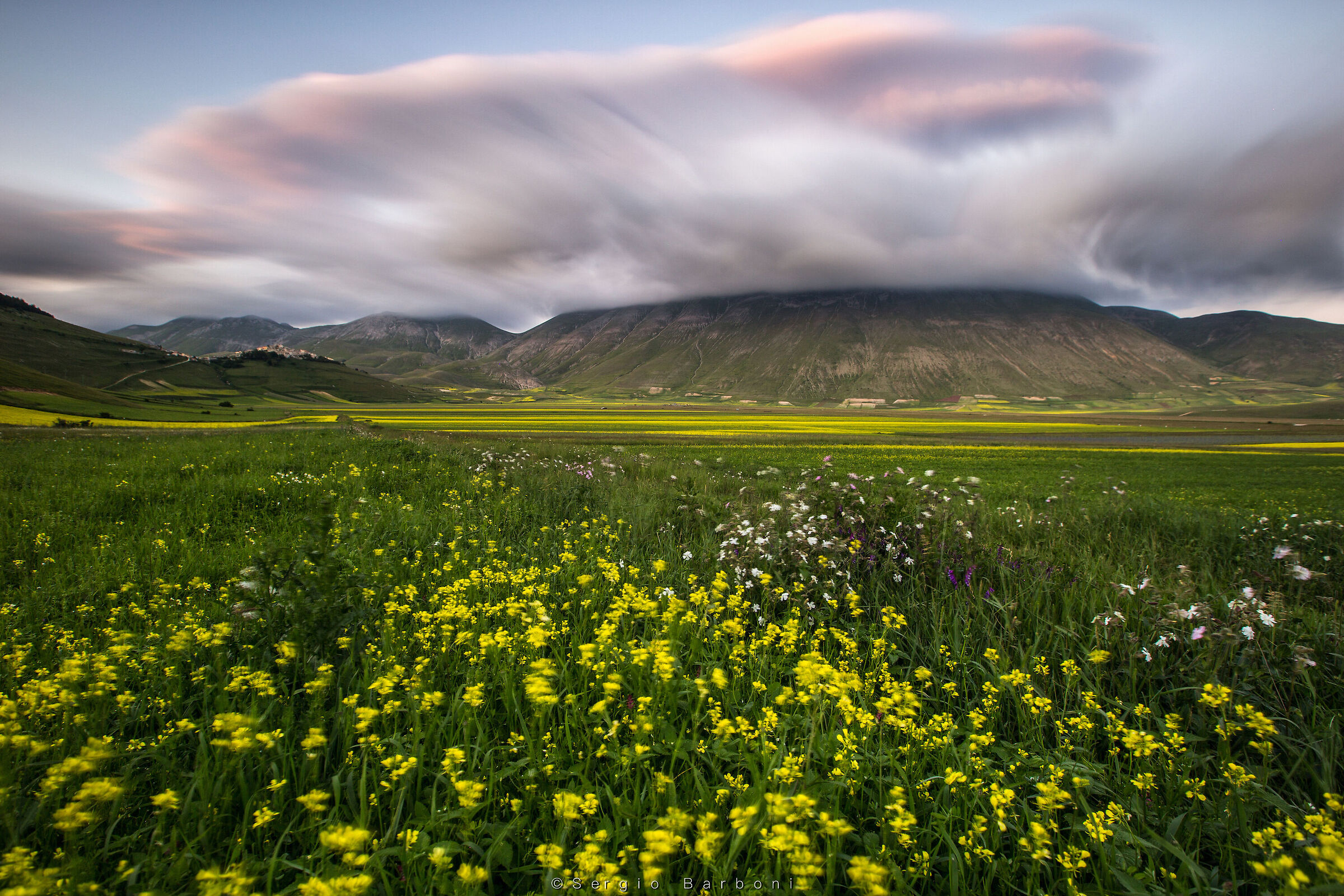 Castelluccio, flowers & clouds