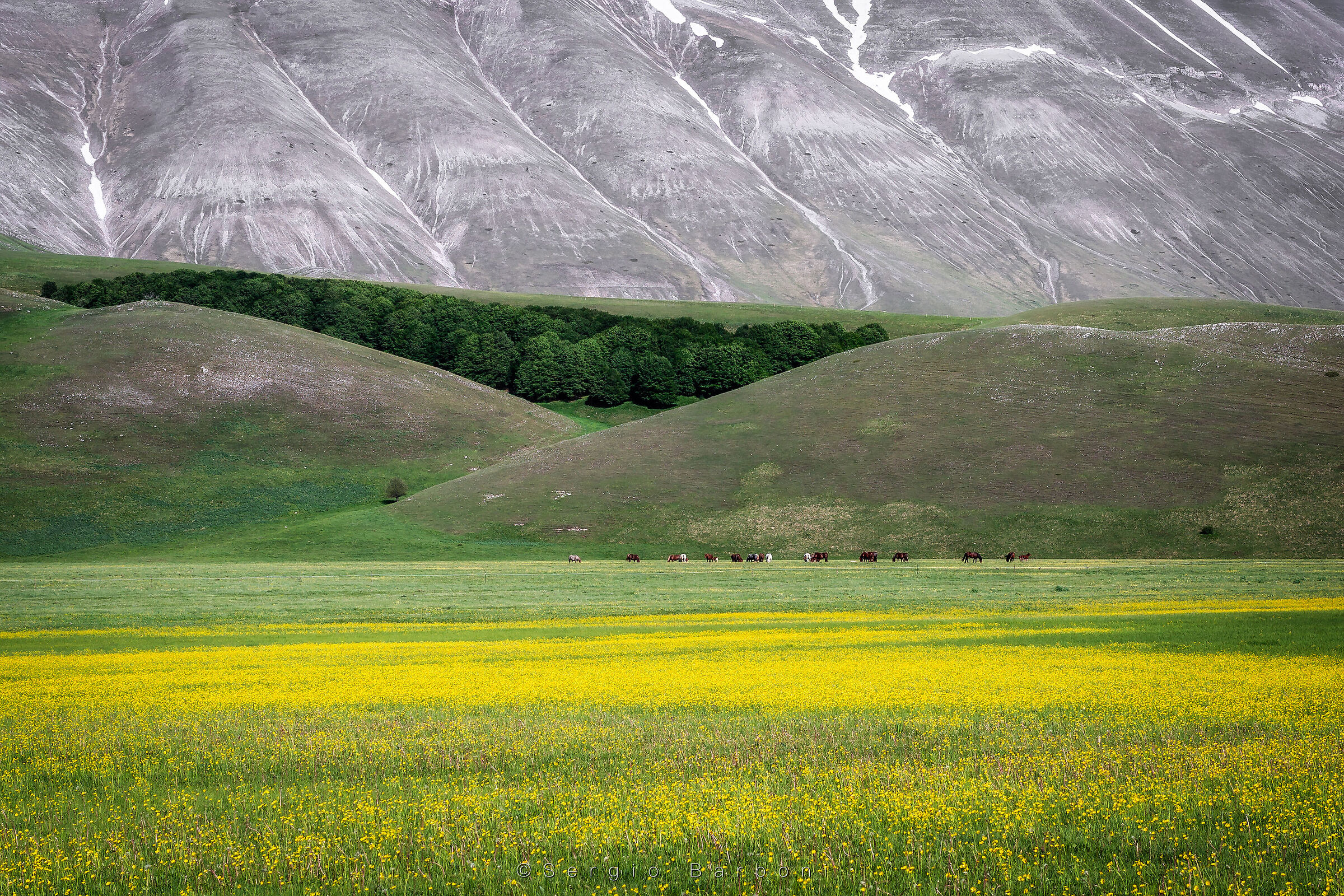 Pasture in Pian Perduto