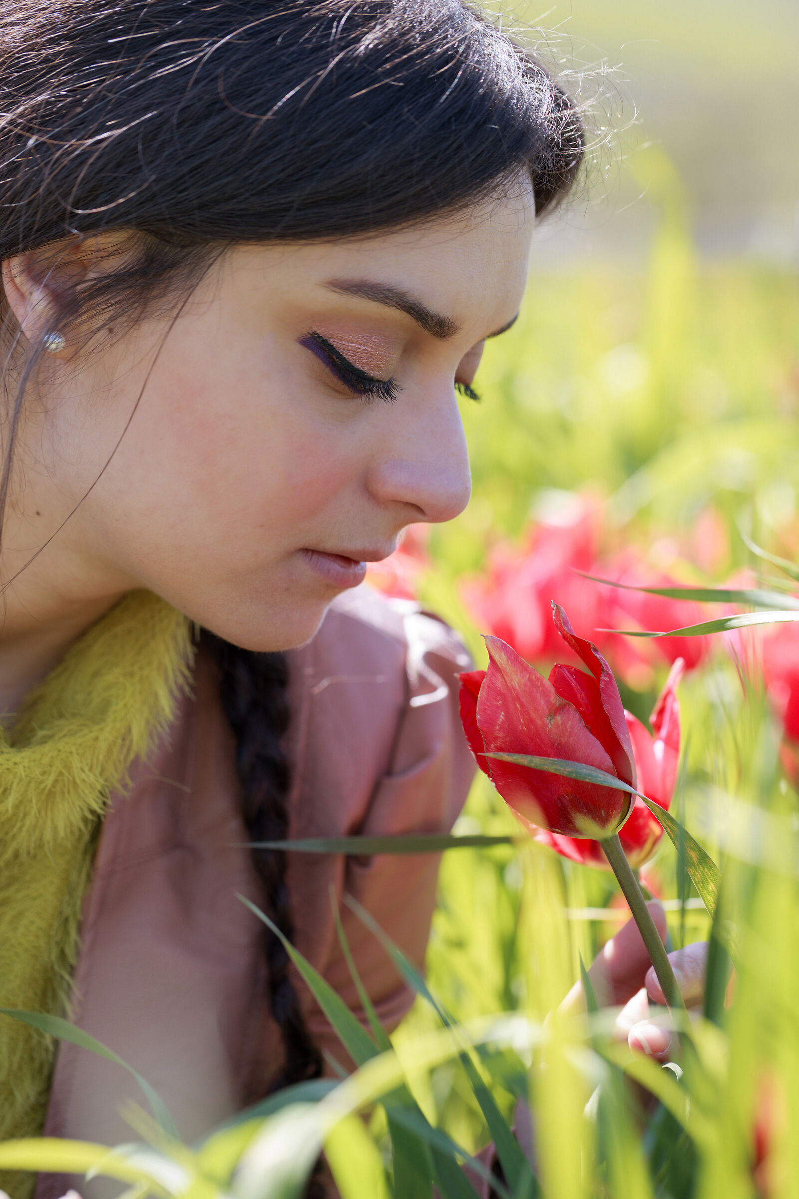 Profumo di Primavera