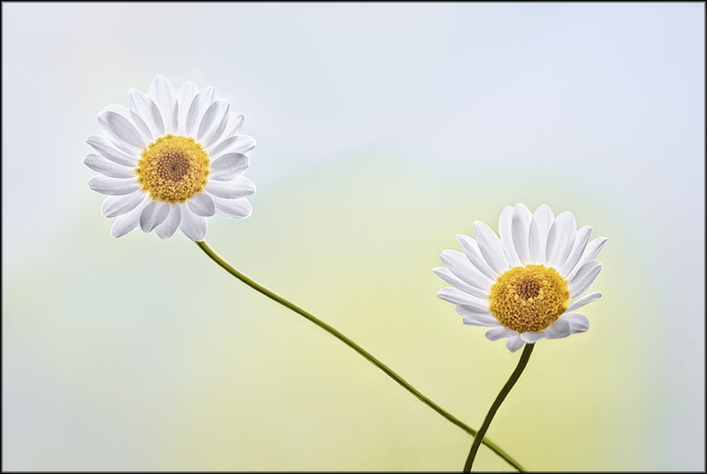 Un rapporto, uno sguardo