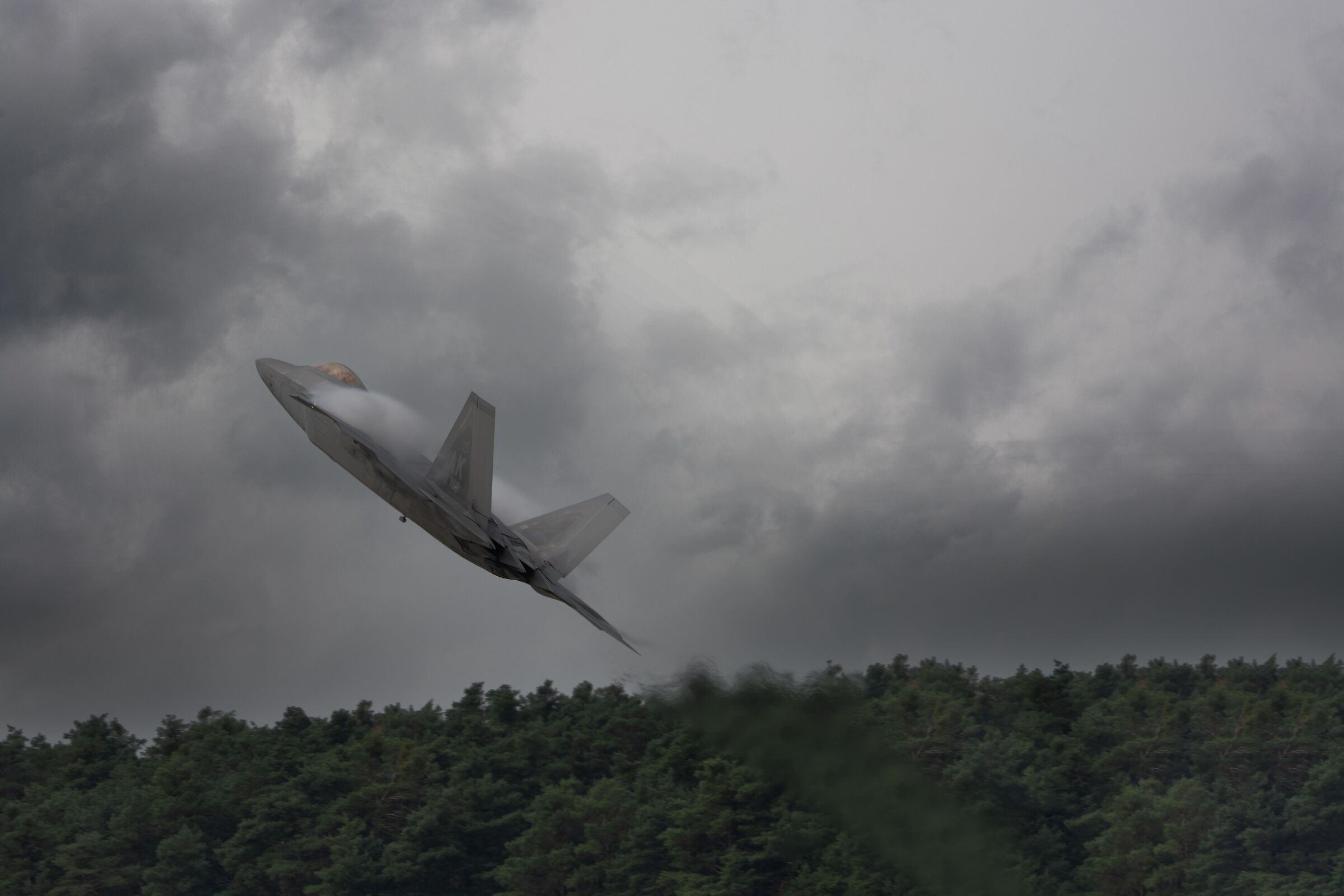 F-22 Raptor