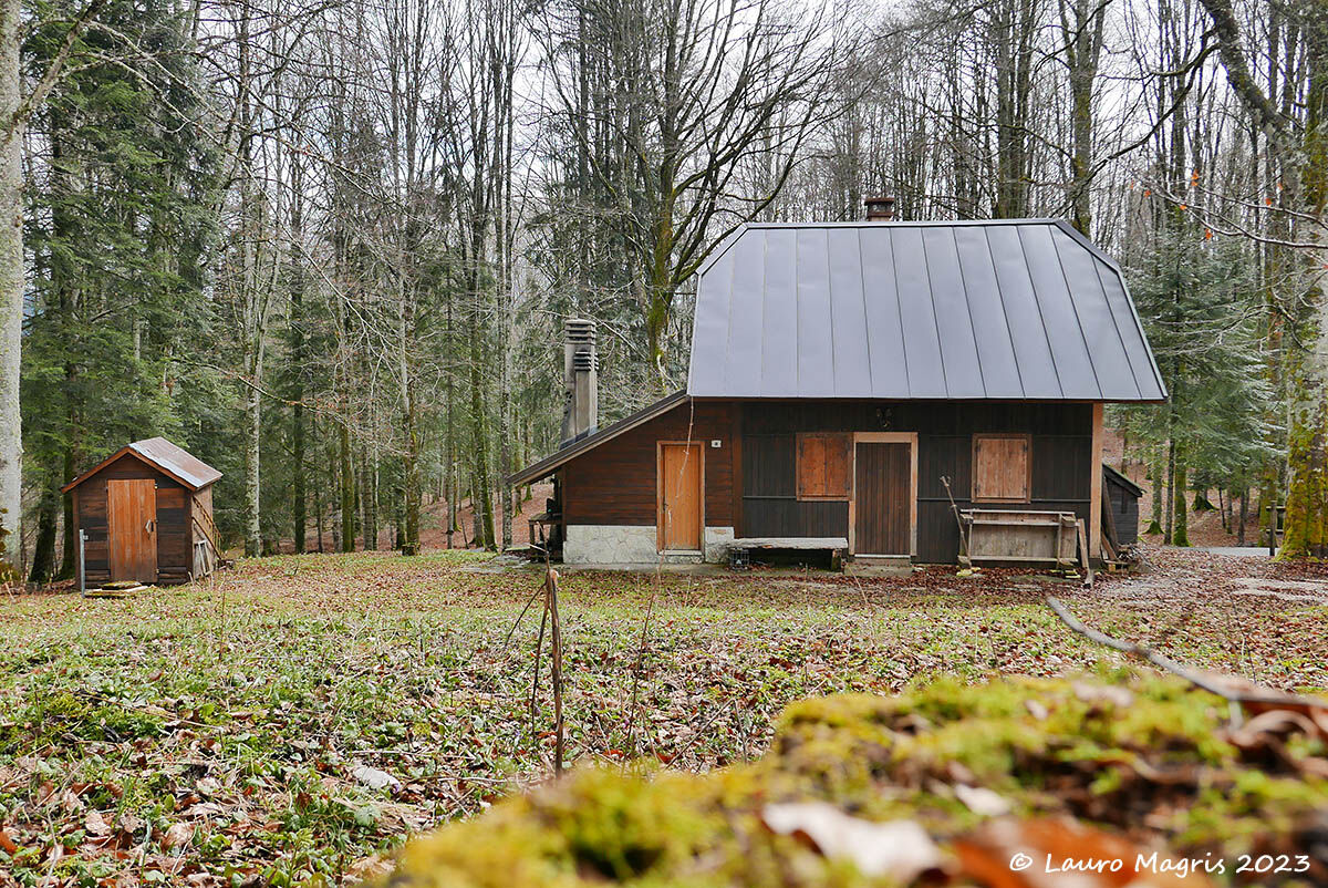 La grande e la piccola