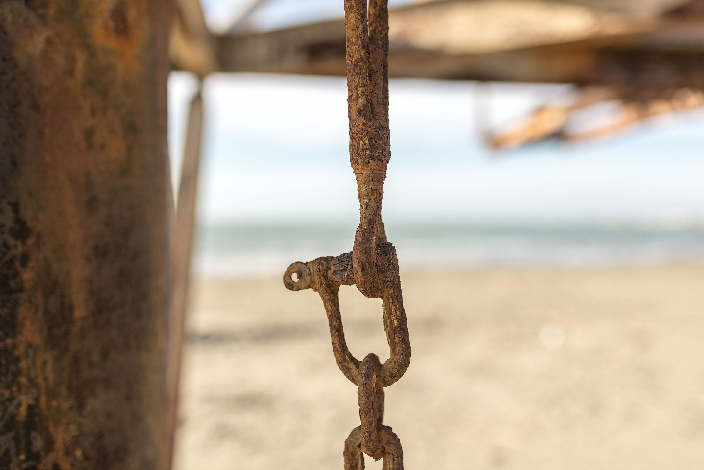 Trabocchi Fiumicino 8