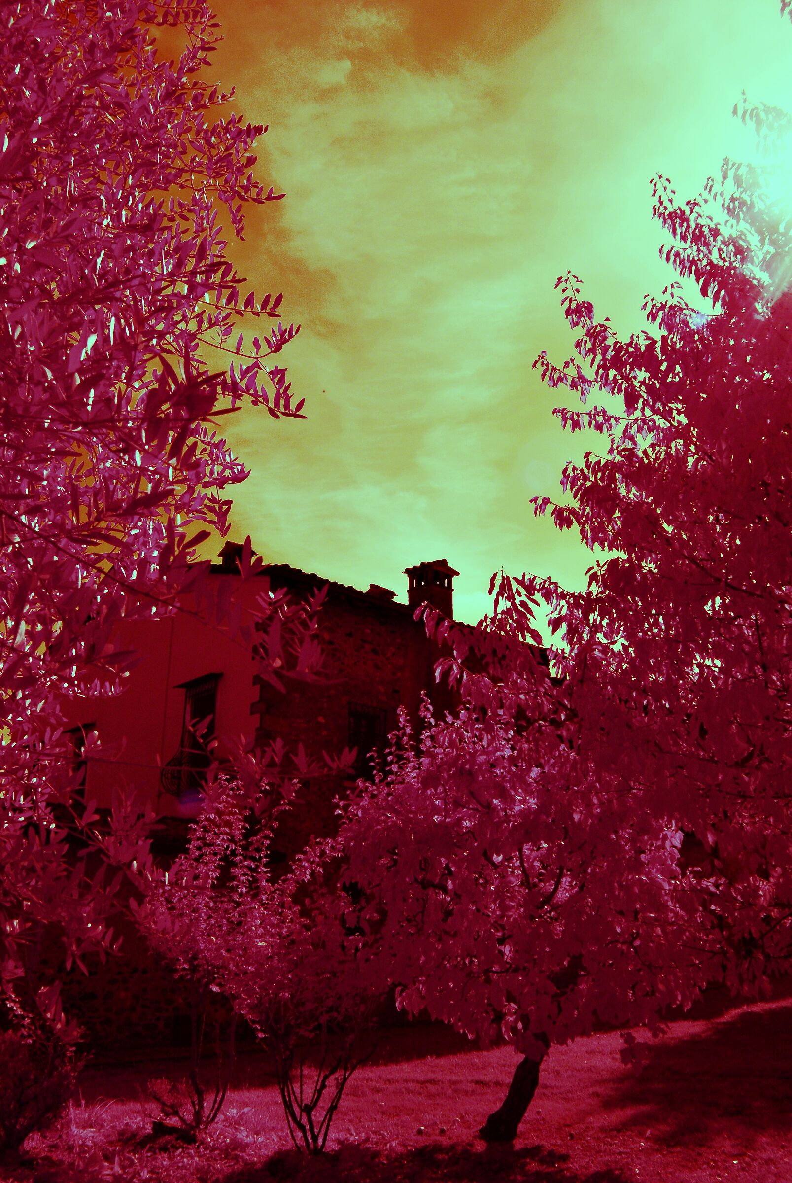 Infrared Game 2