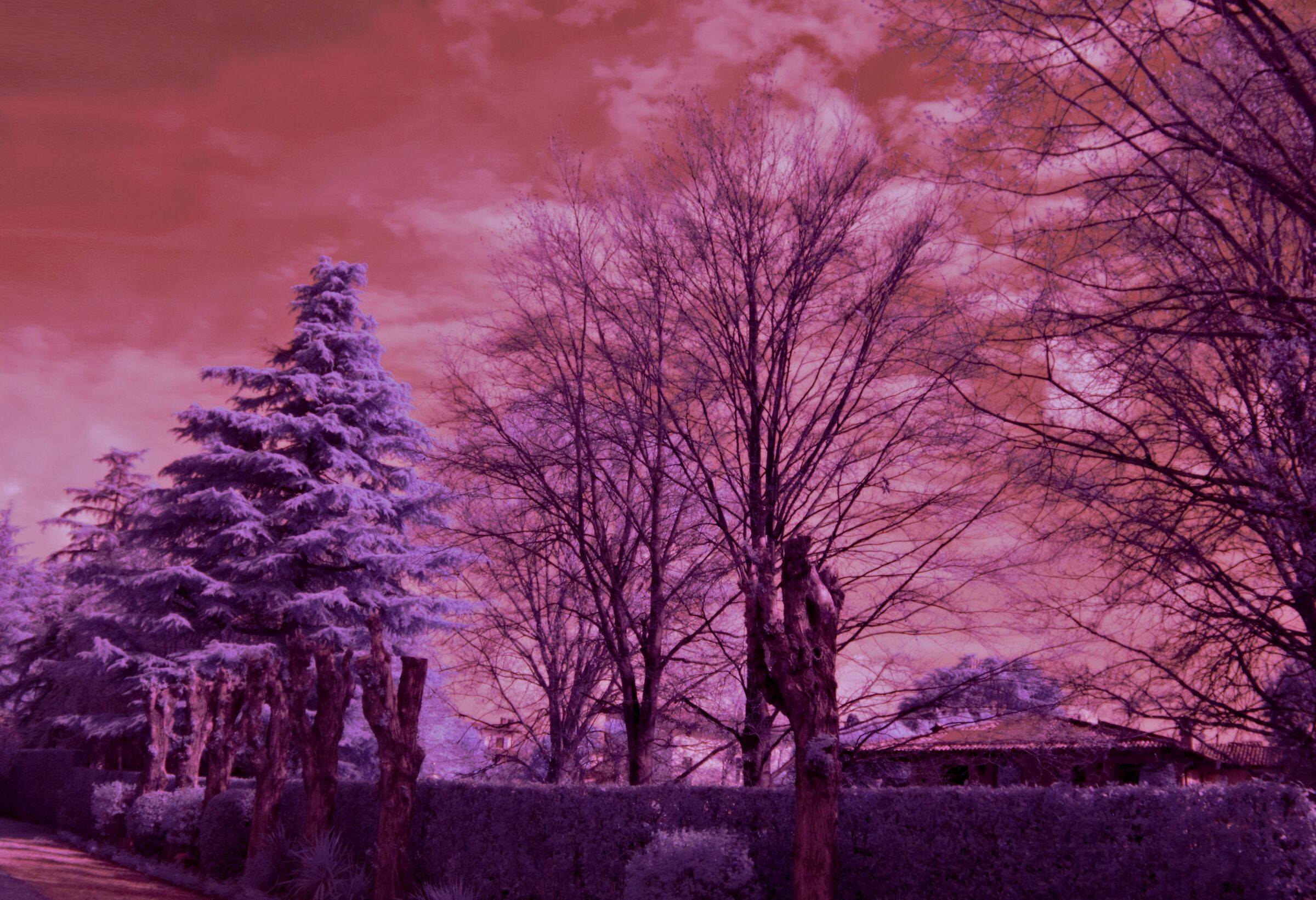 Gioco con gli infrarossi  4