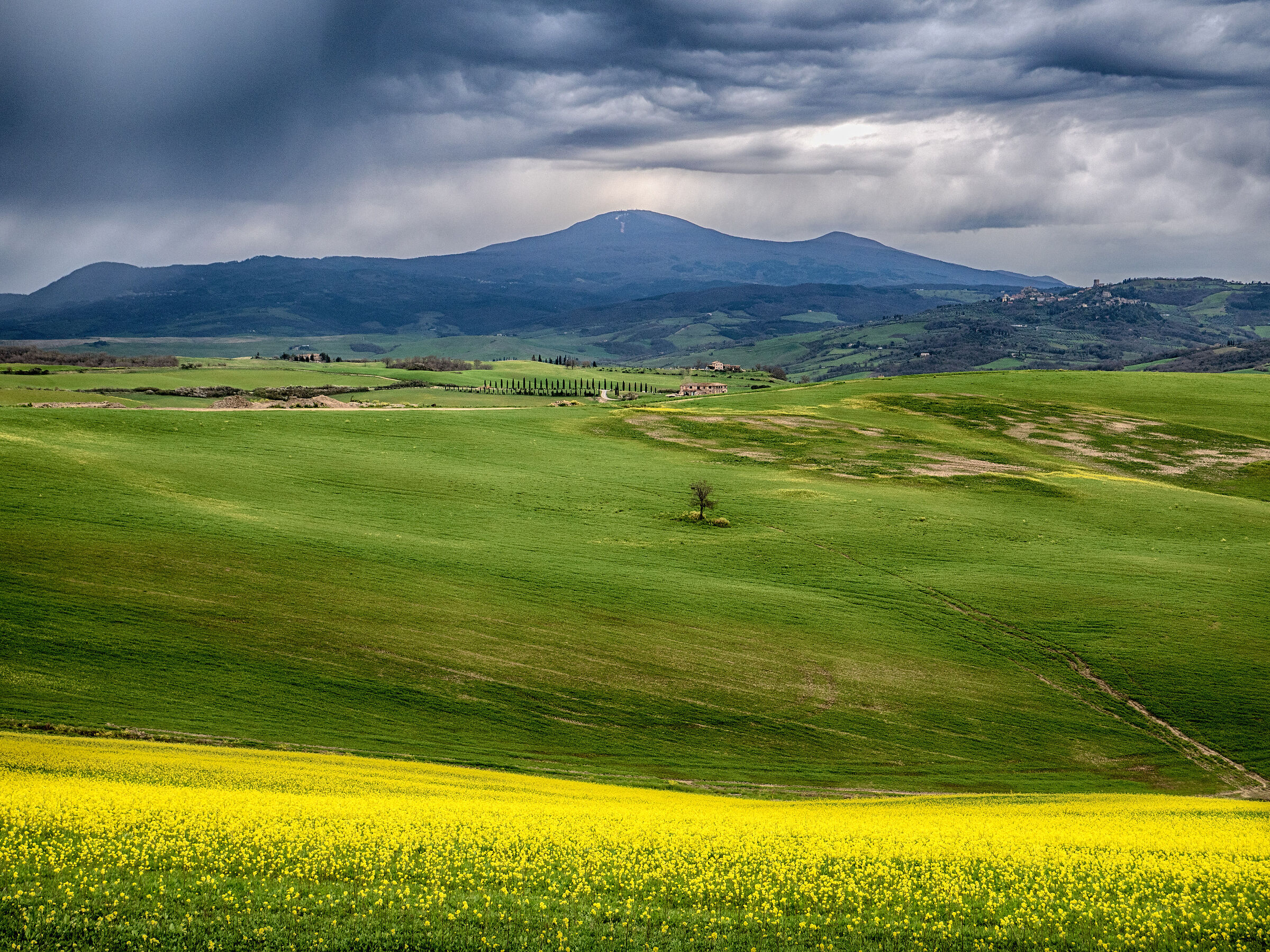 It's beautiful even when it's ugly