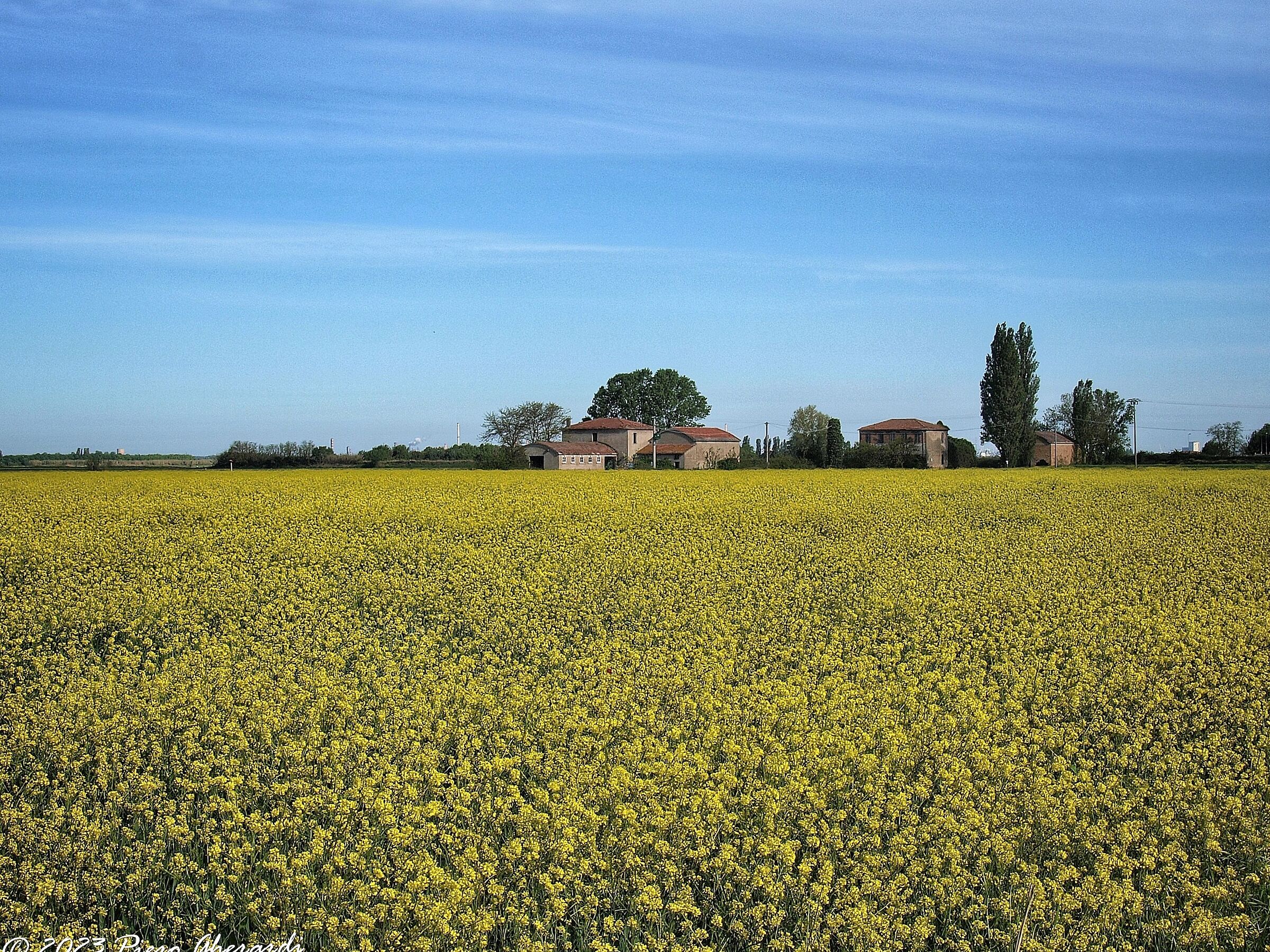 Campagna
