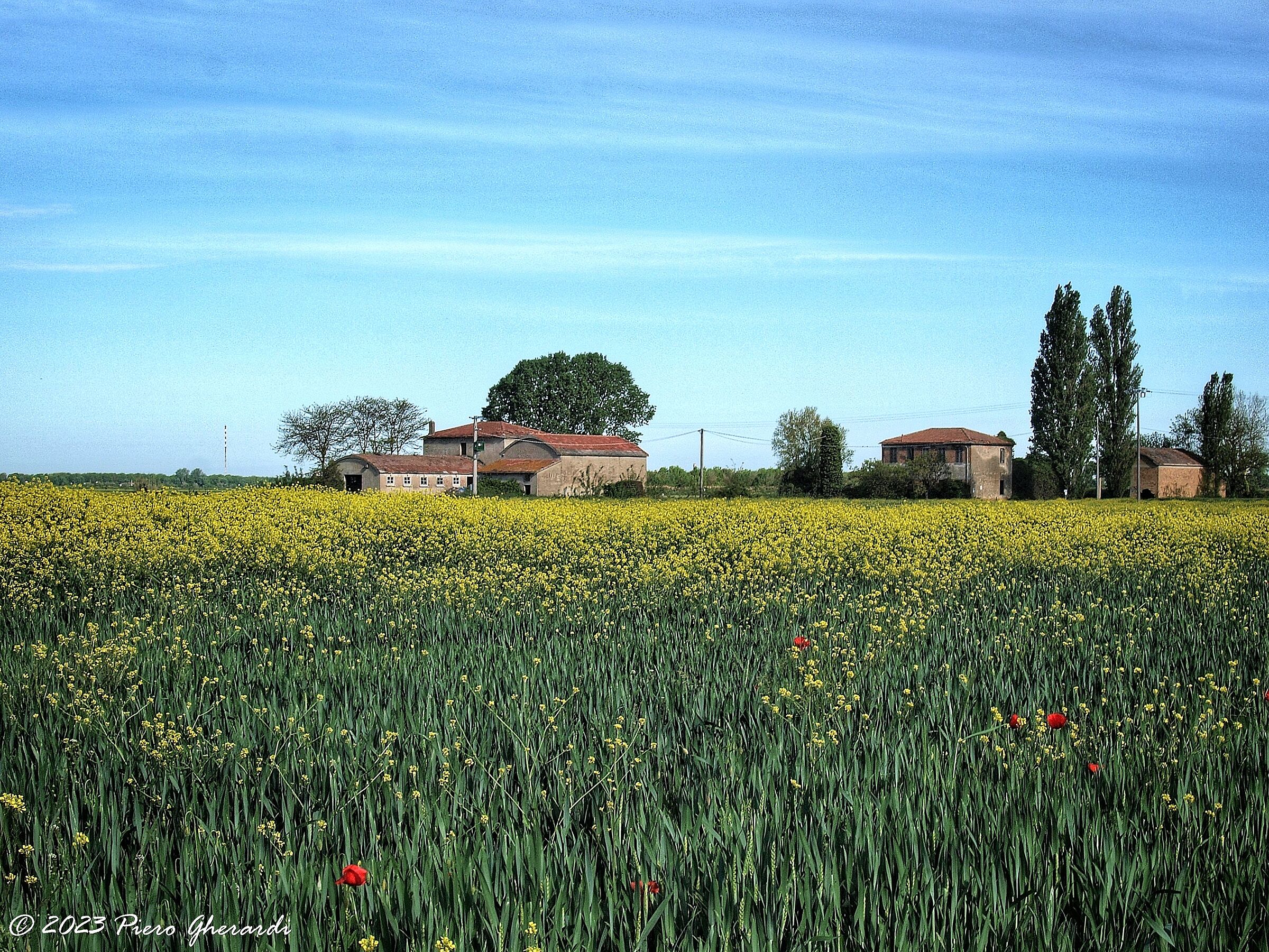 Campagna