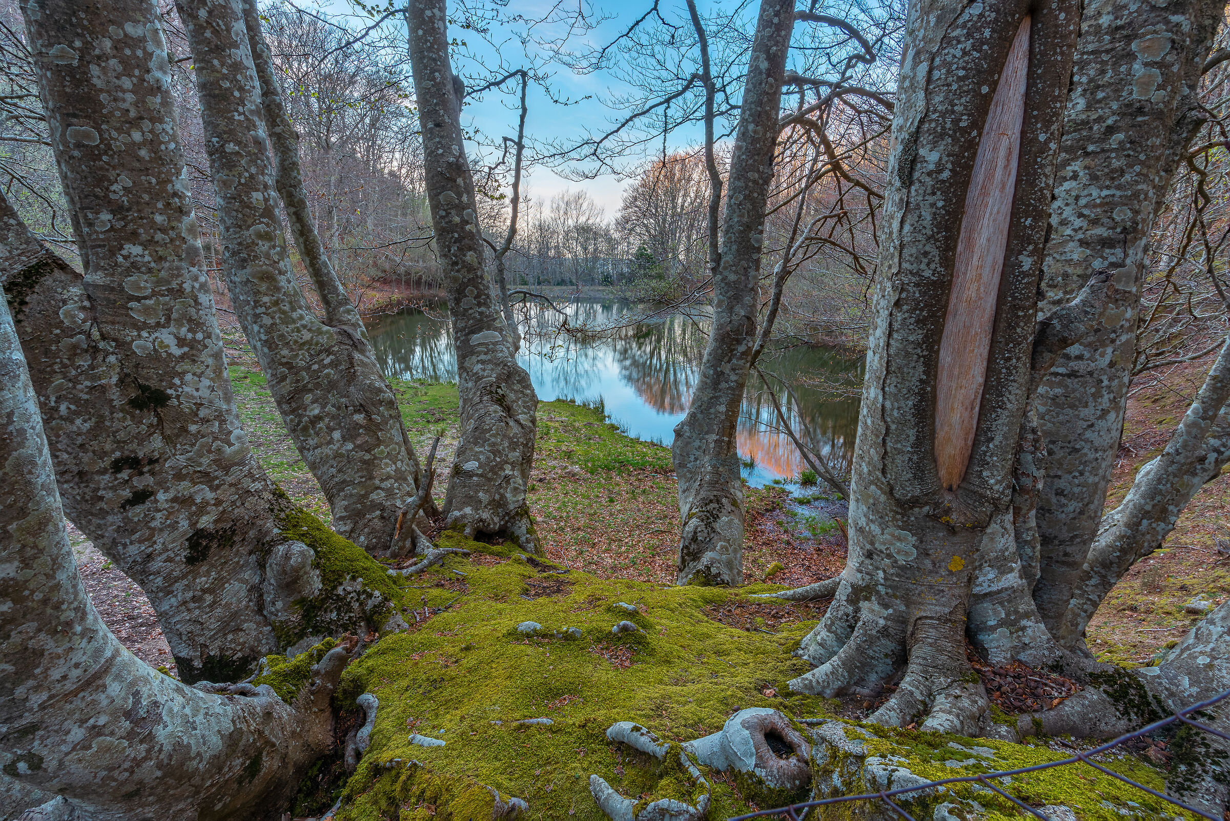 Abbraccio della natura