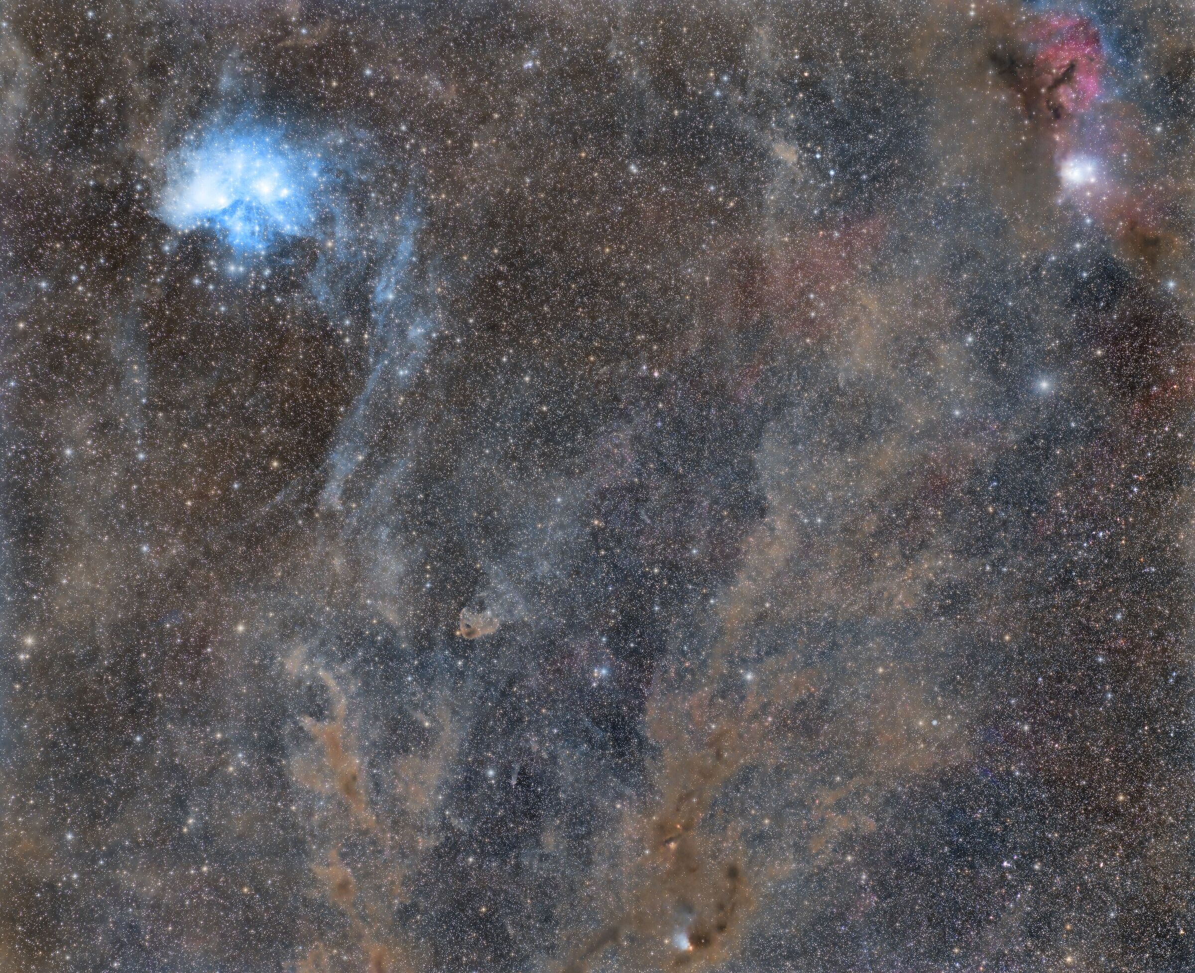 Pleiadi e polveri del Toro