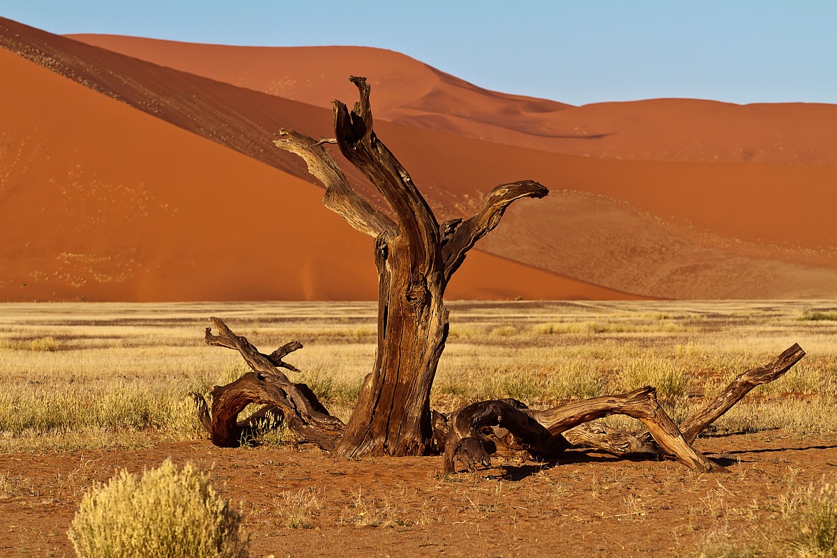Sossusvlei