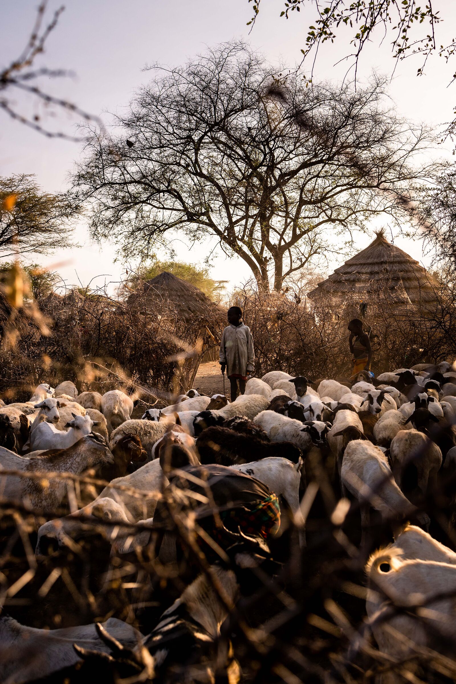 Inside the kraal