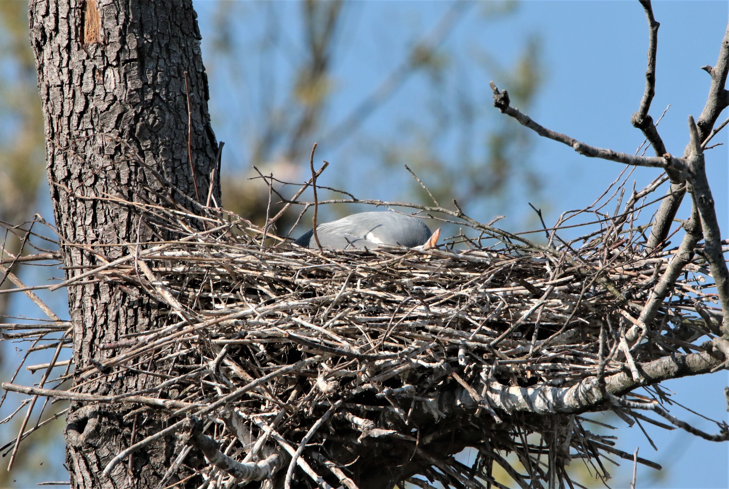 HAPPY EASTER TO ALL!