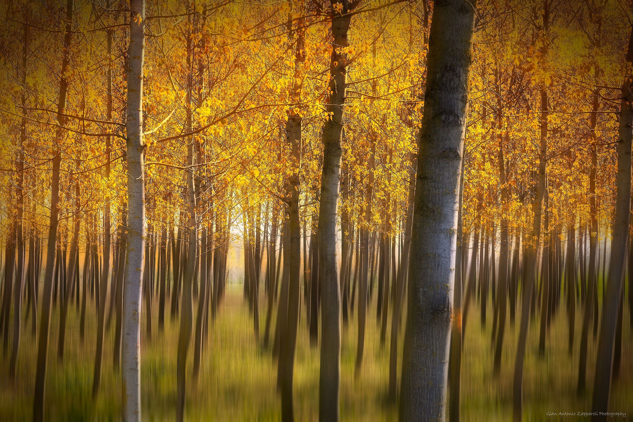 Luci in golena di Po - Marzo 2023