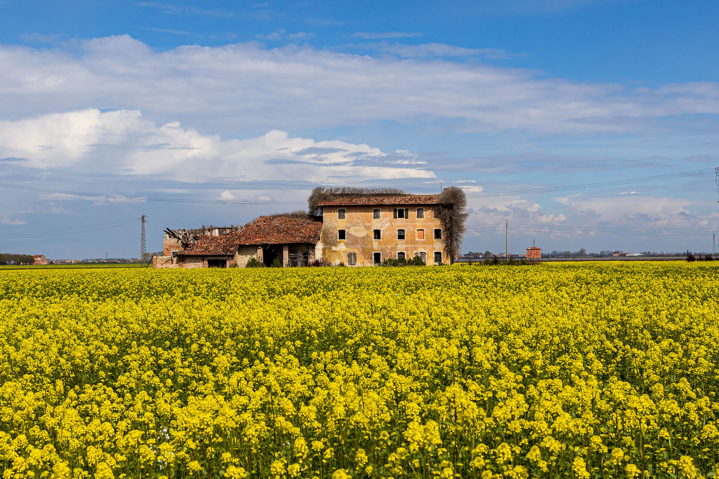 farmstead