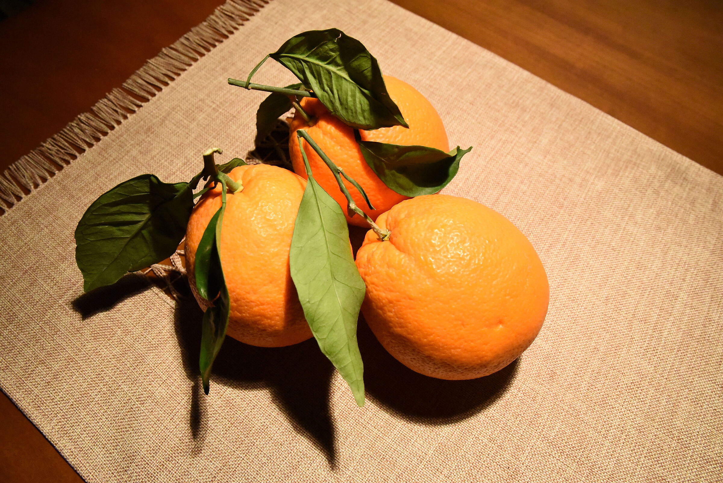 " ISO 12 Mila 800 ", Tamron 35, 1.4 Di Usd- D 750