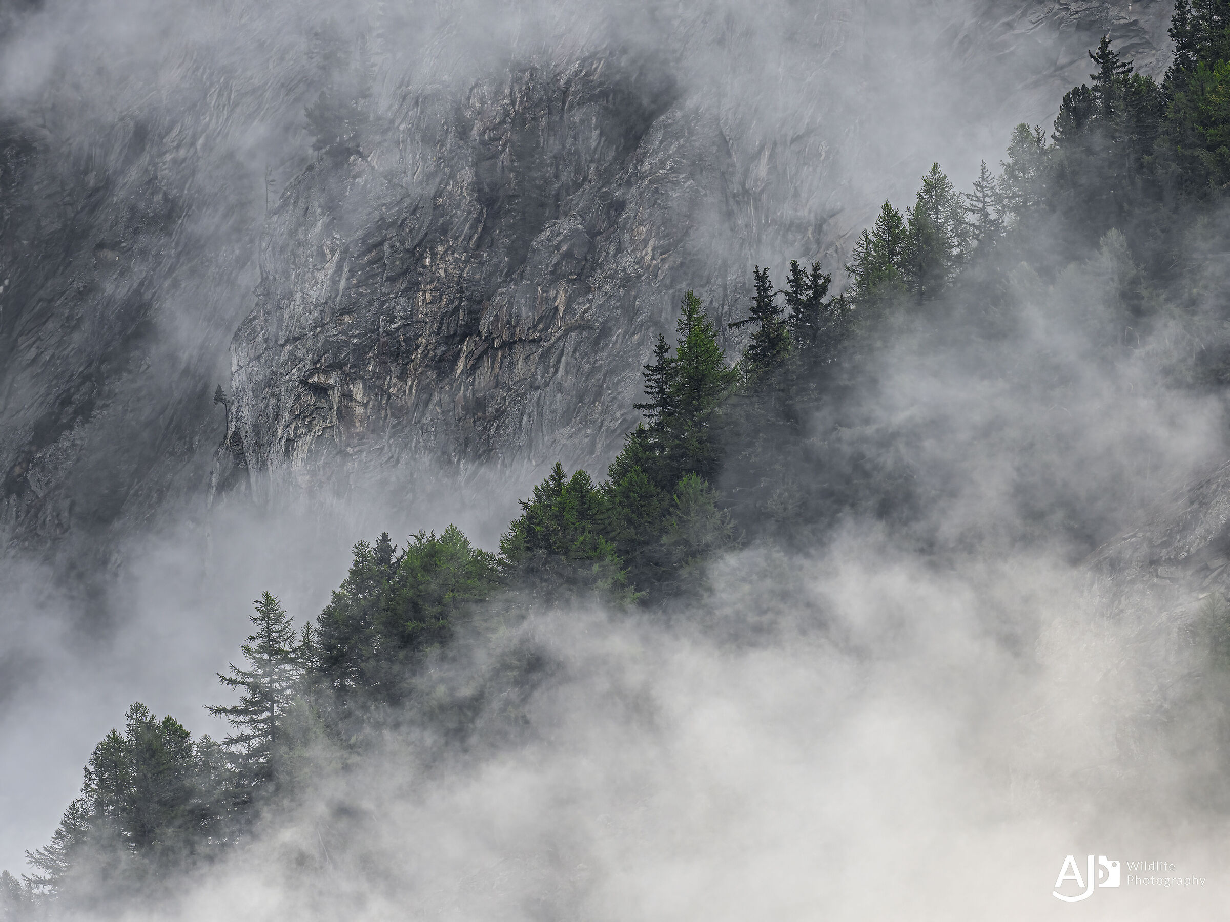 Atmosphere