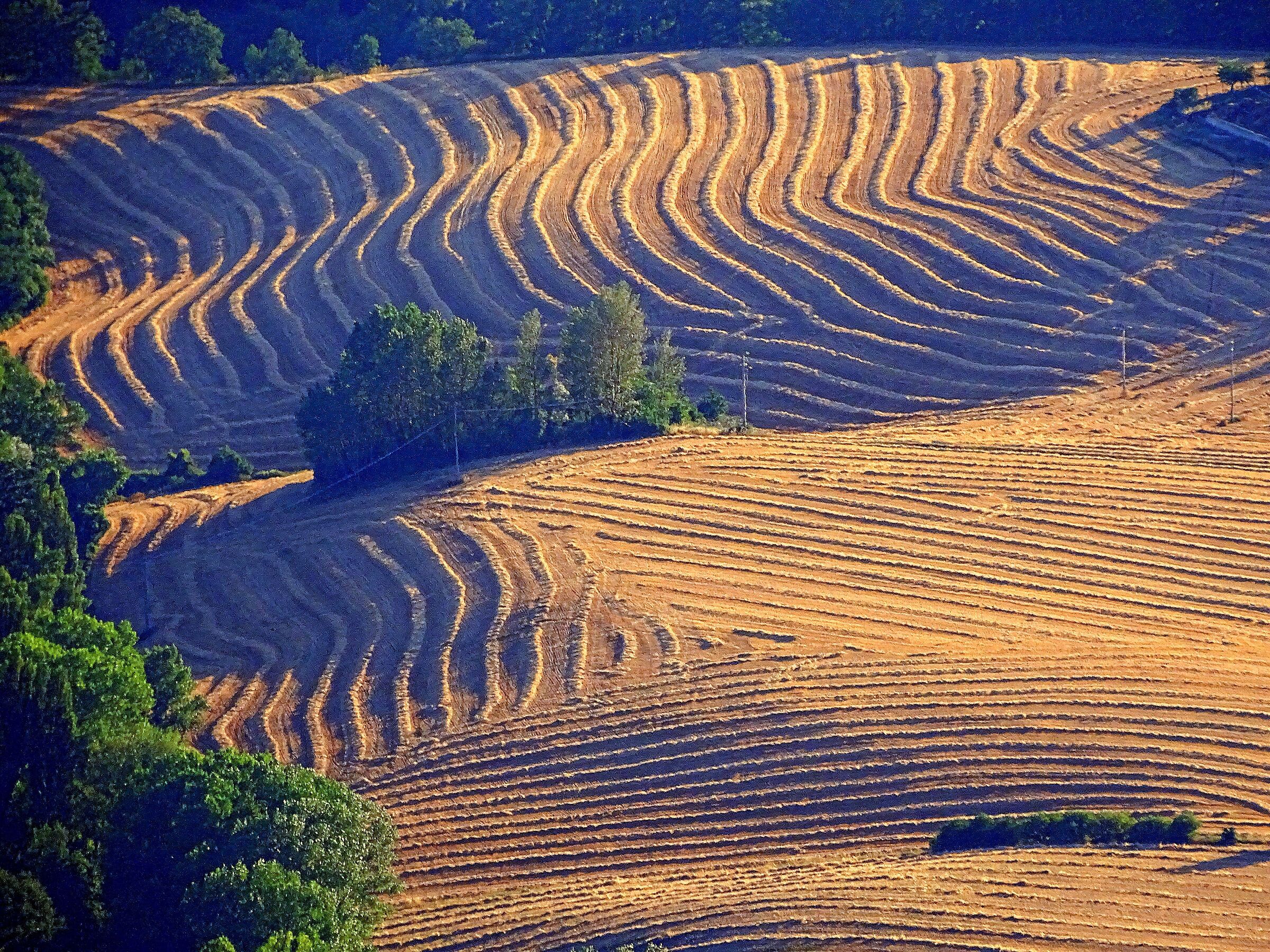 Umbrian countryside