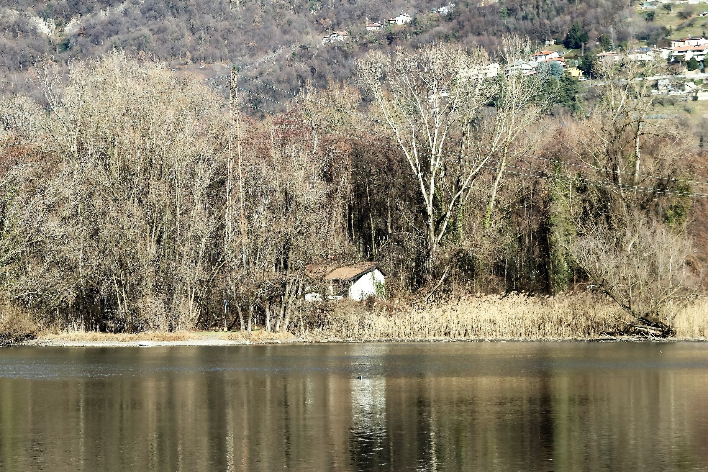 Nel canneto 02-02-2023