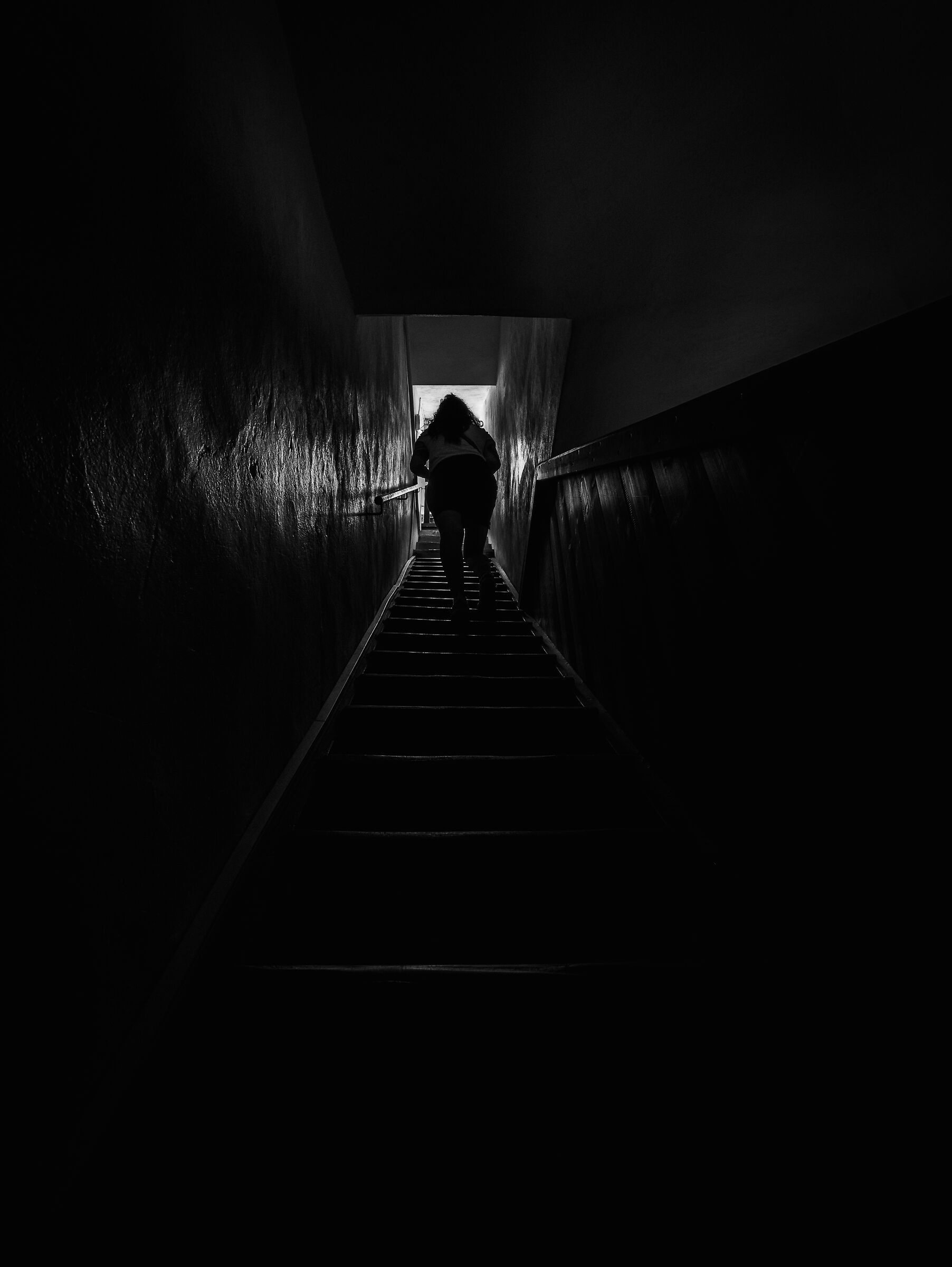 Follow the light