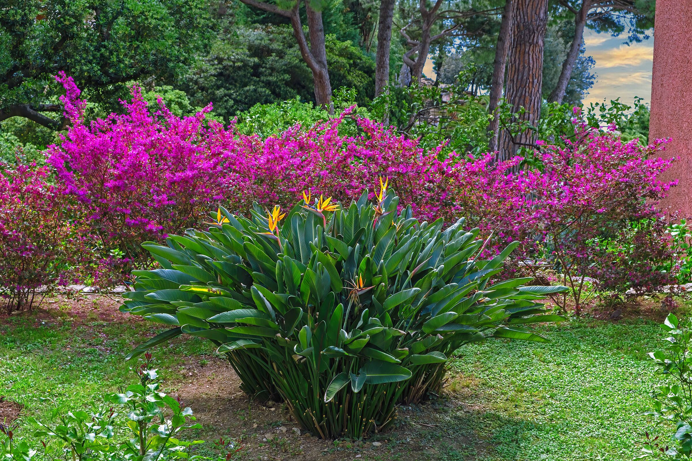 His Majesty the Spring