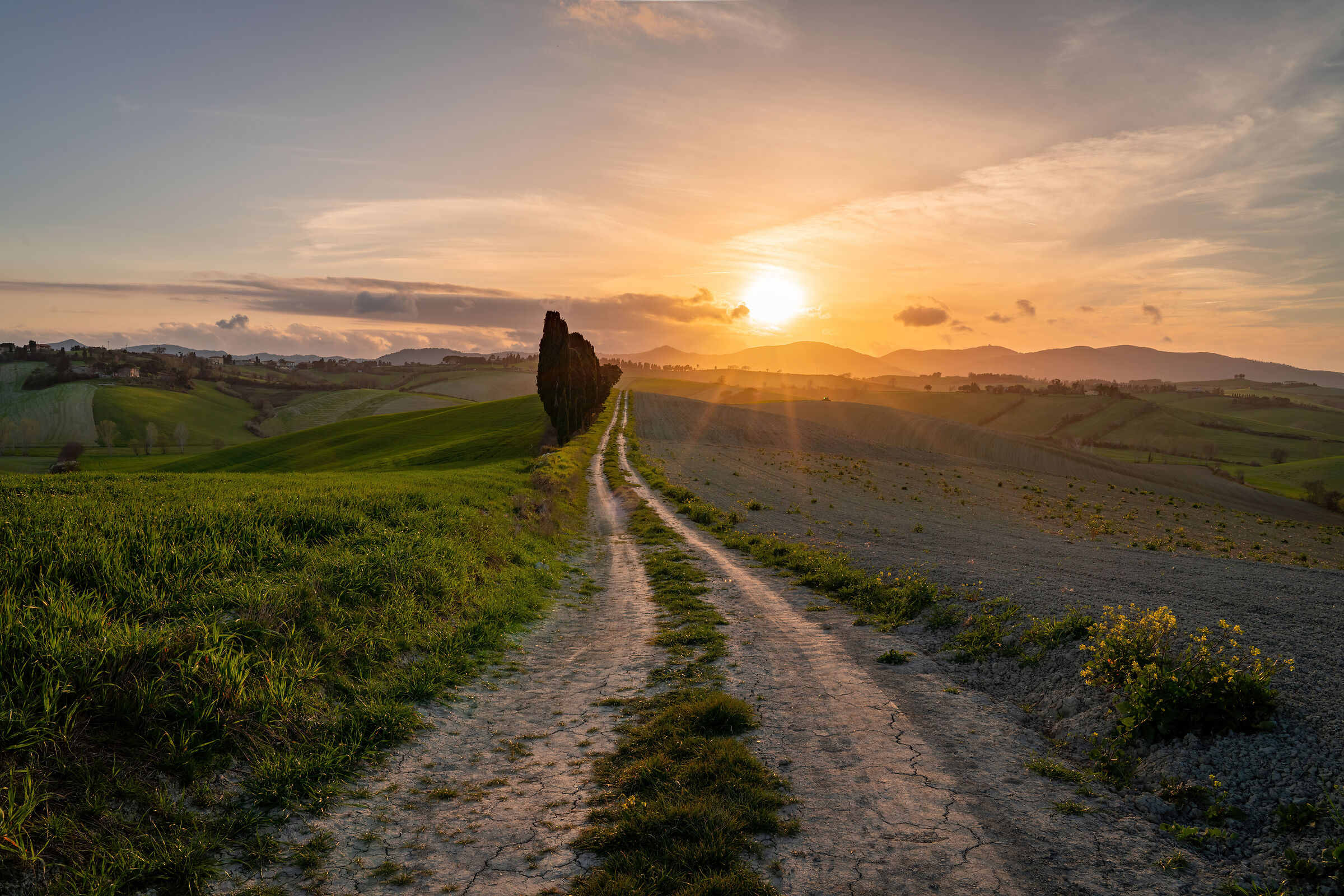 Road to the end of the day