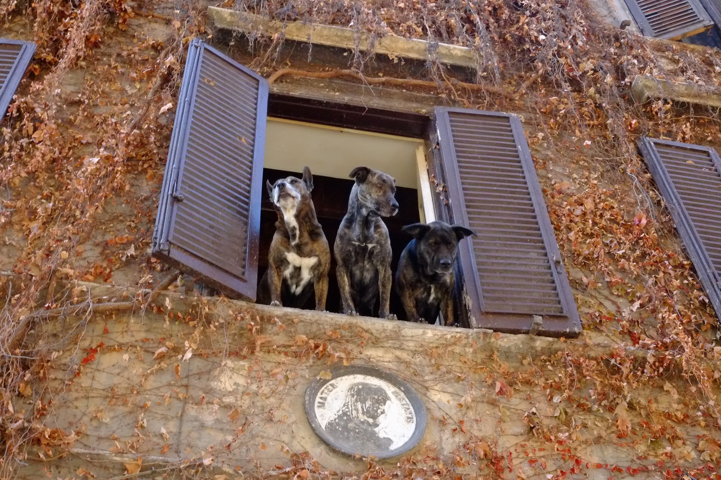 I tre moschettieri,Roma