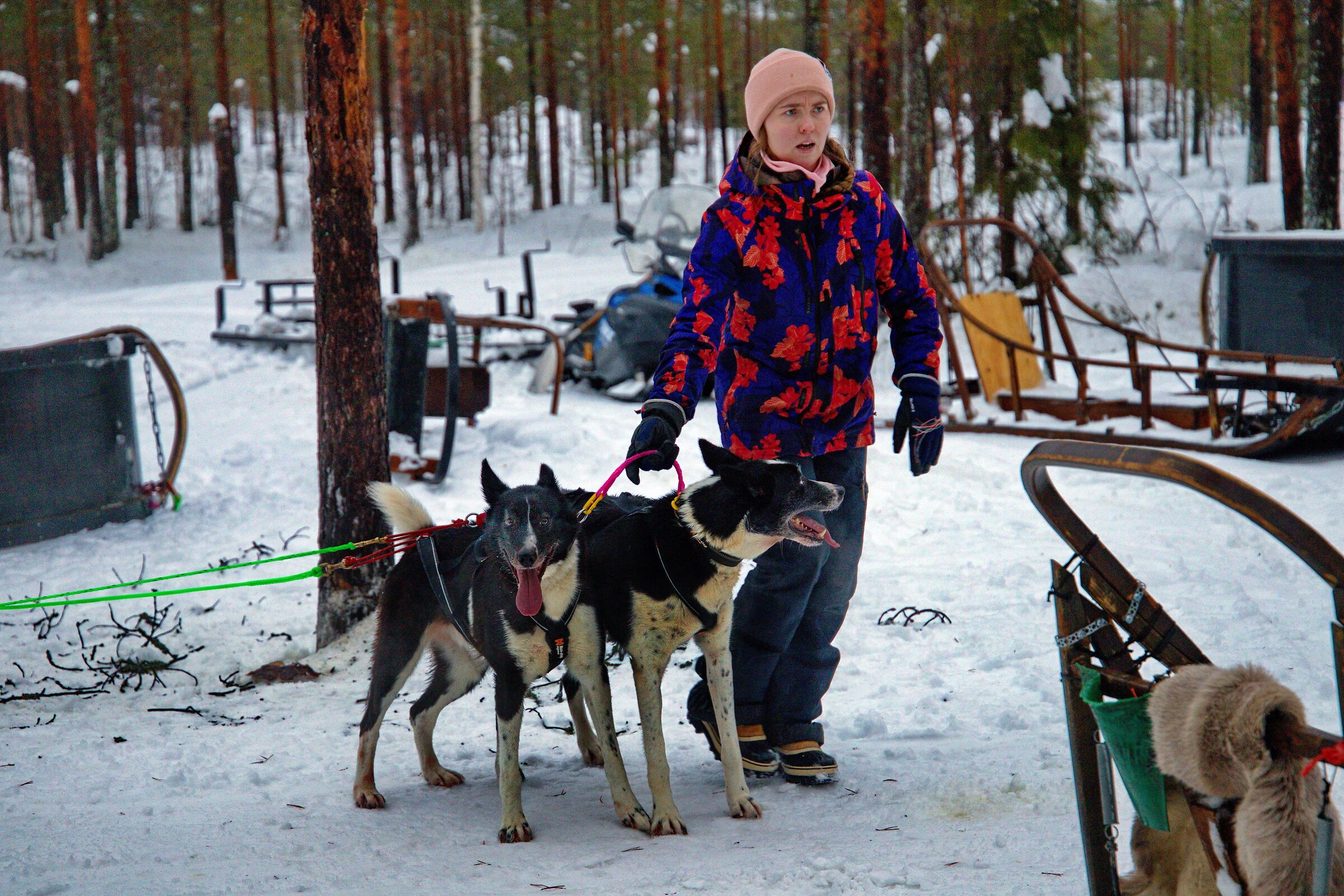 Lapponia finlandese